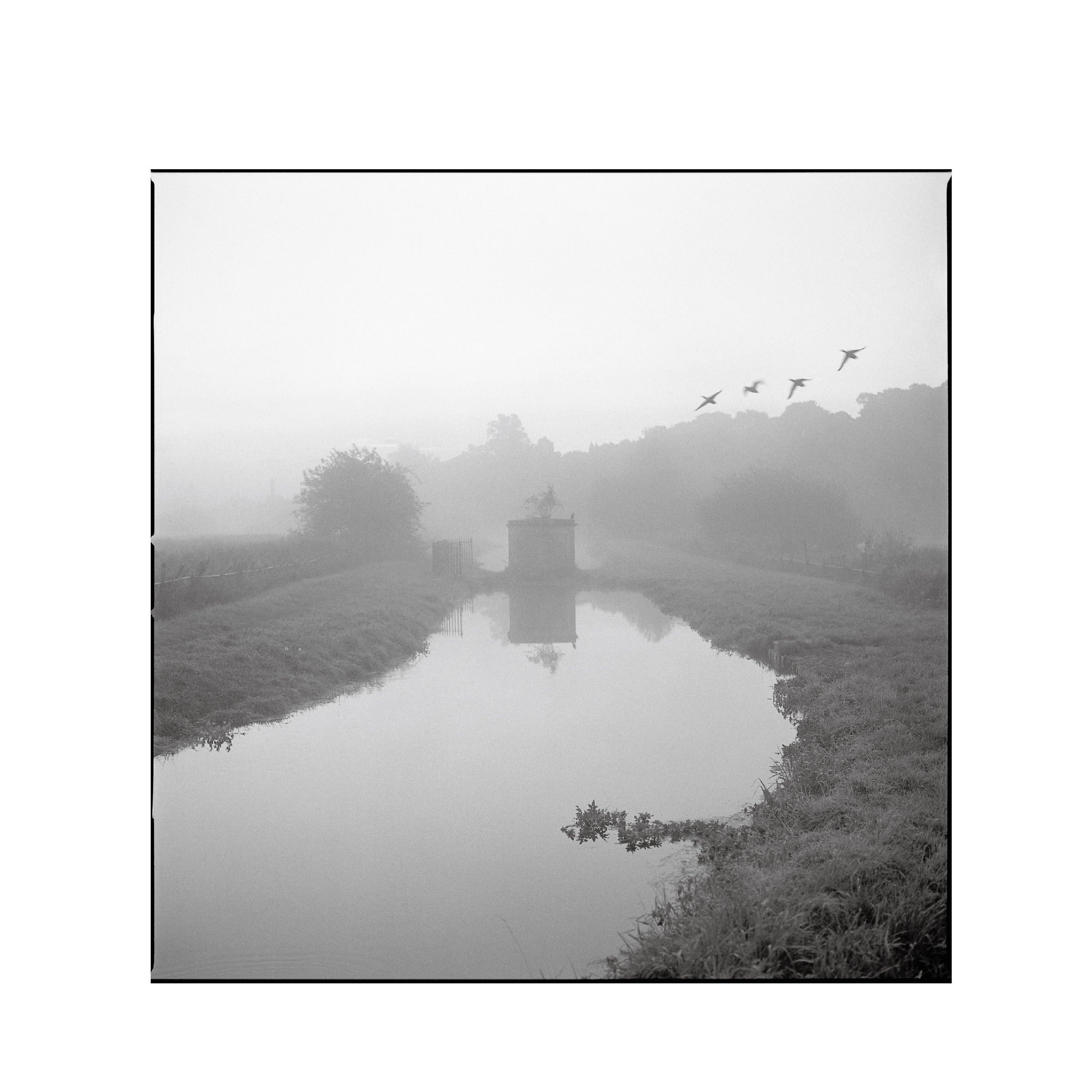 Ilford Delta400 B&W 120 Format