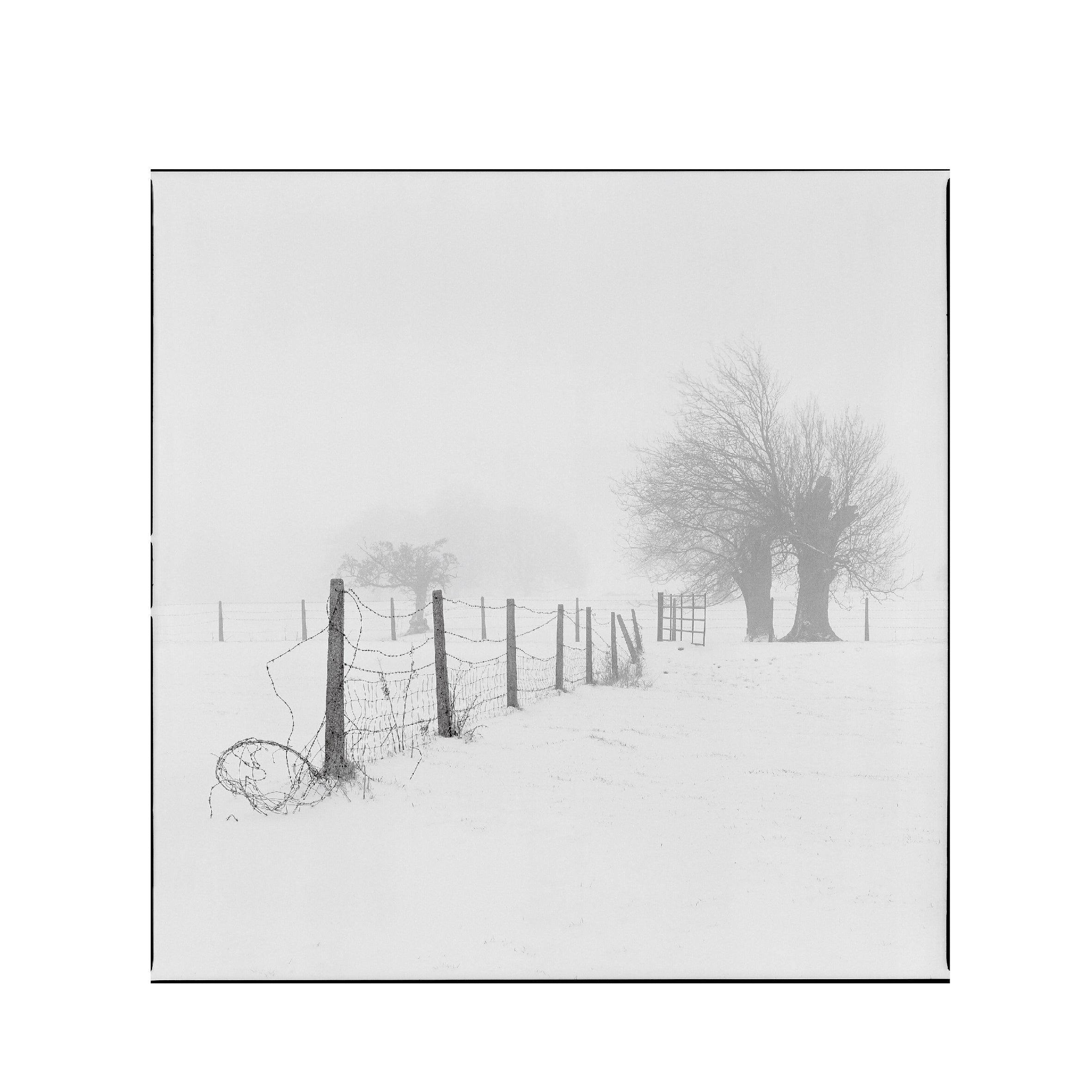 Ilford Delta400 B&W 120 Format