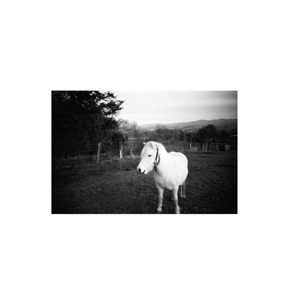 Ilford Delta 400