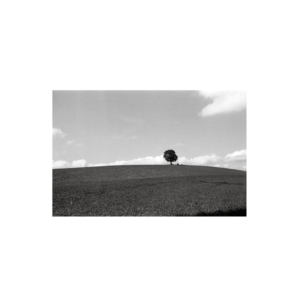 Ilford Delta 400