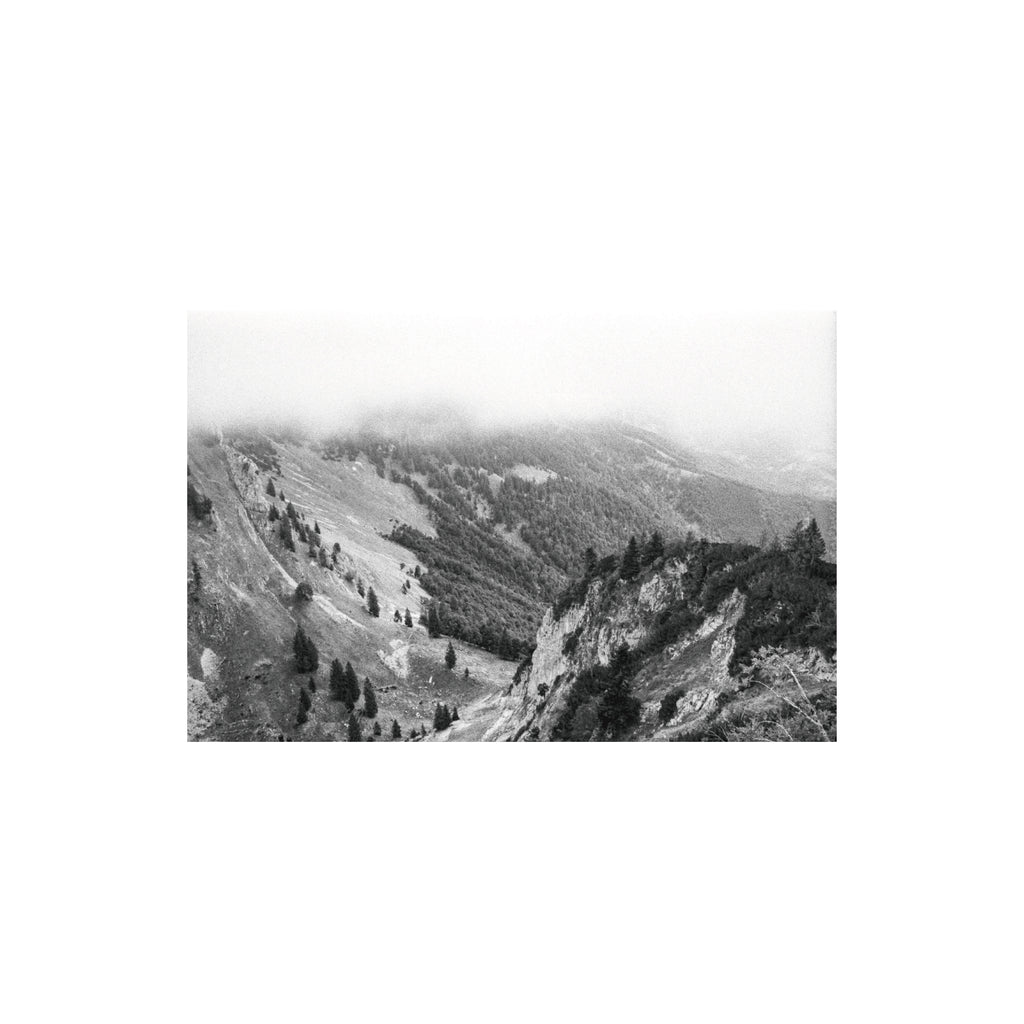 Ilford Delta 400