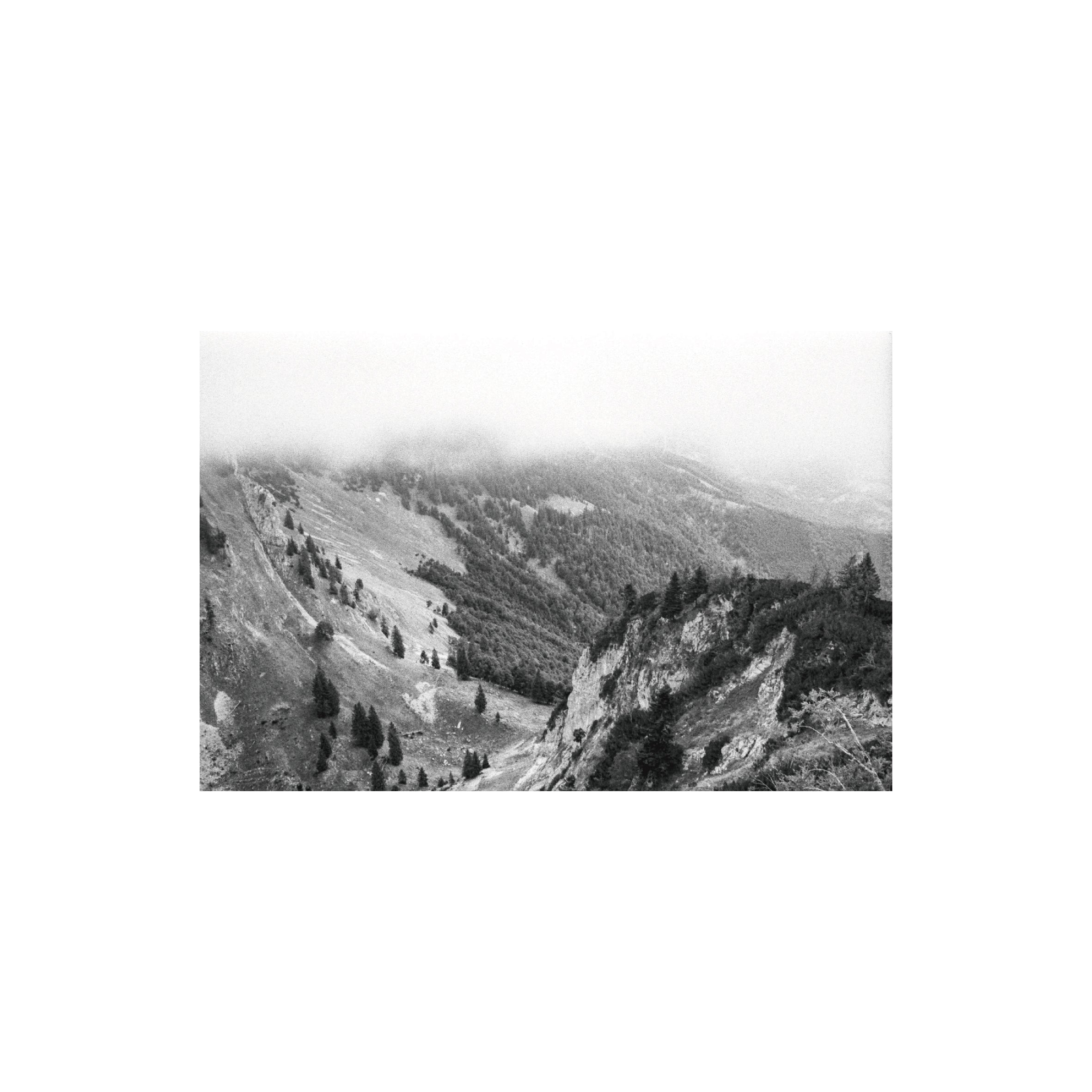Ilford Delta 400