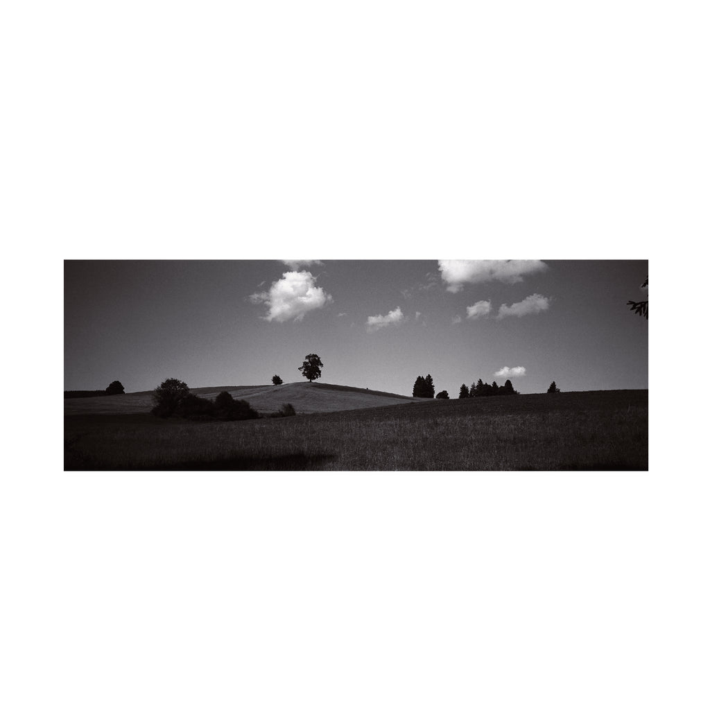 Ilford Delta 400