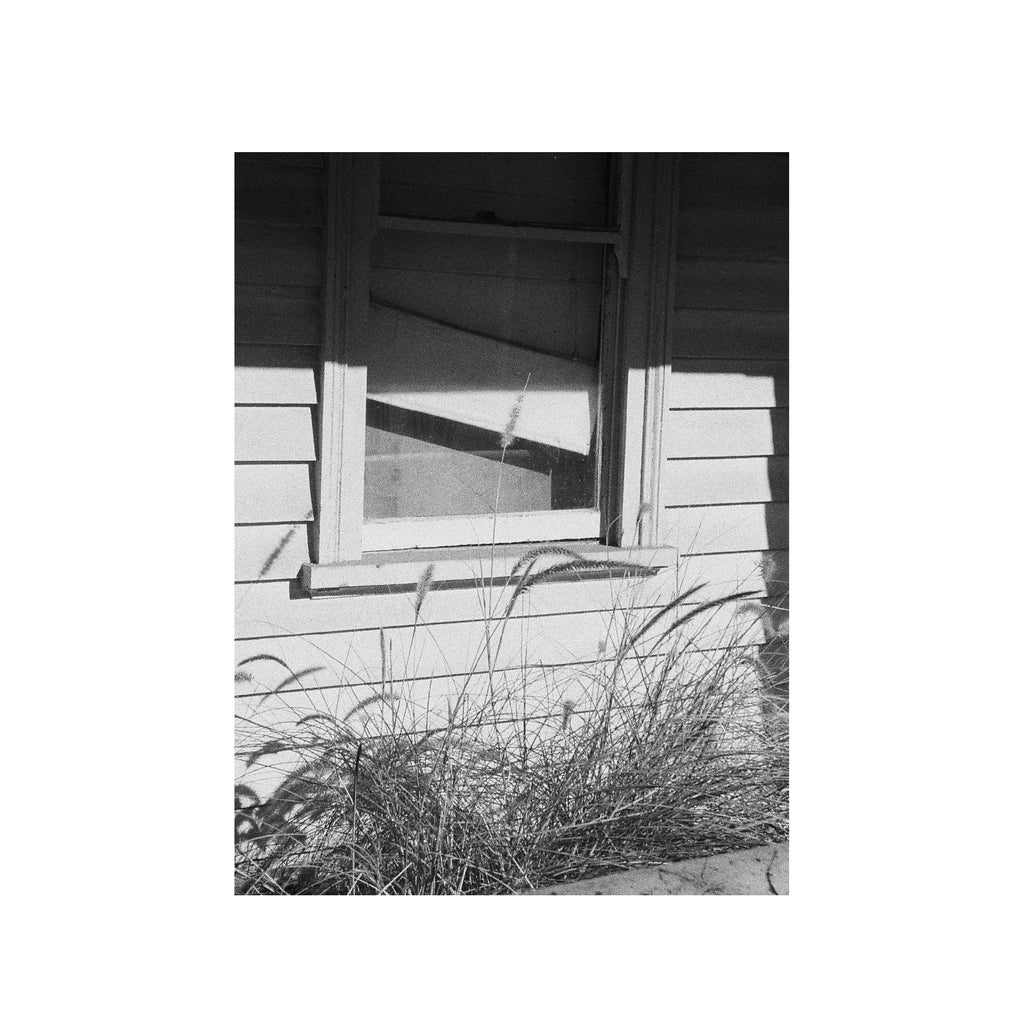 Cinestill BWXX(DoubleX) B&W Film