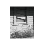 Cinestill BWXX(DoubleX) B&W Film