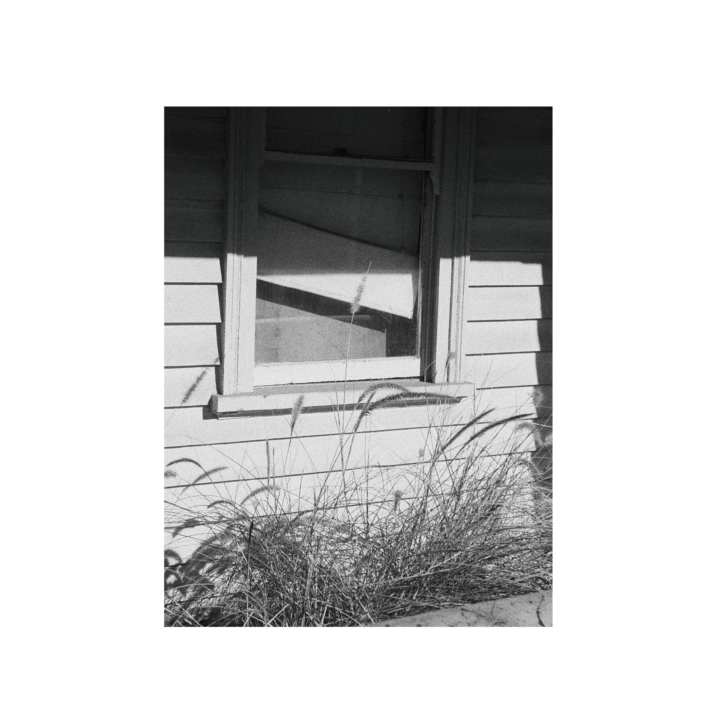 Cinestill BWXX(DoubleX) B&W Film