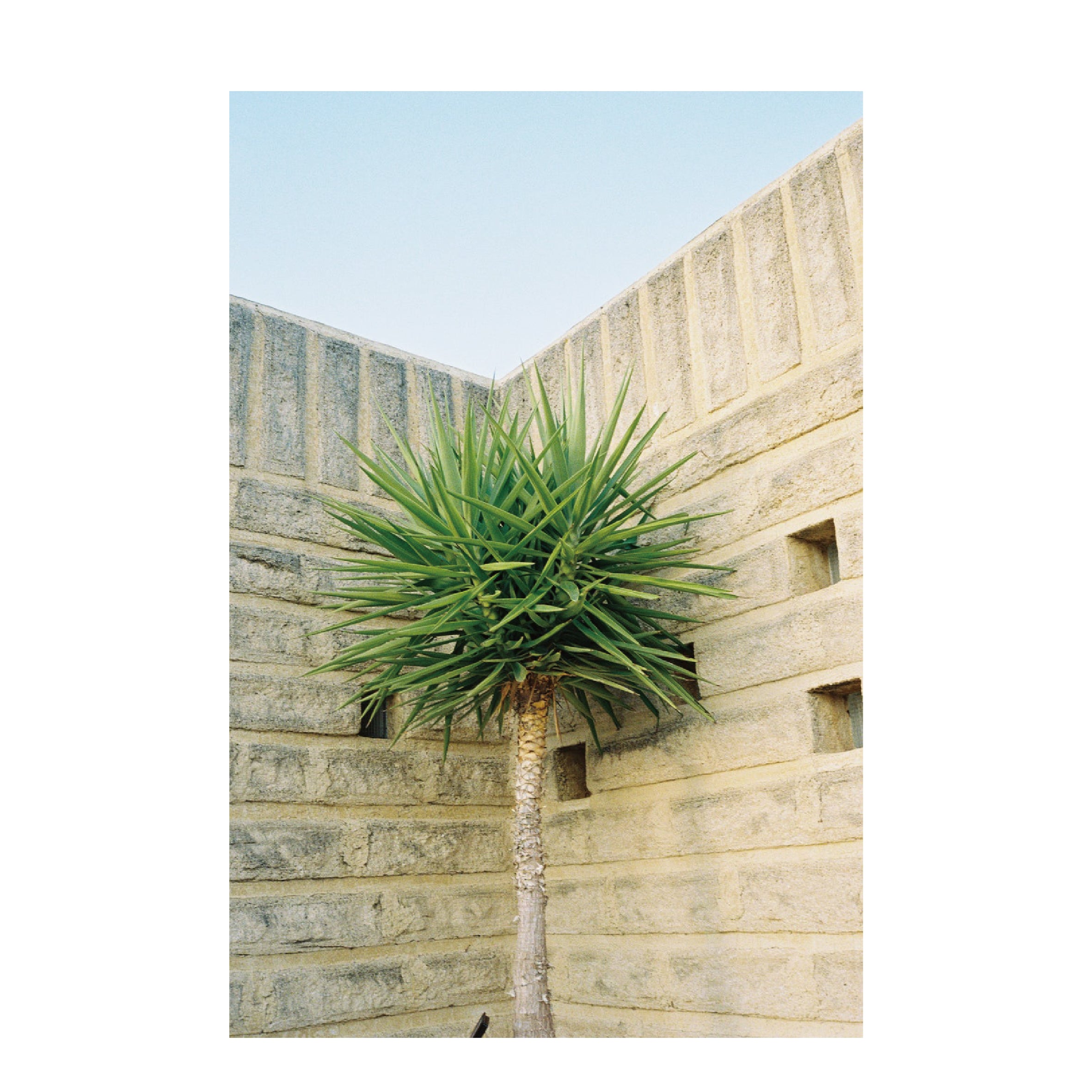 Dubblefilm Dubble Daily Color 400