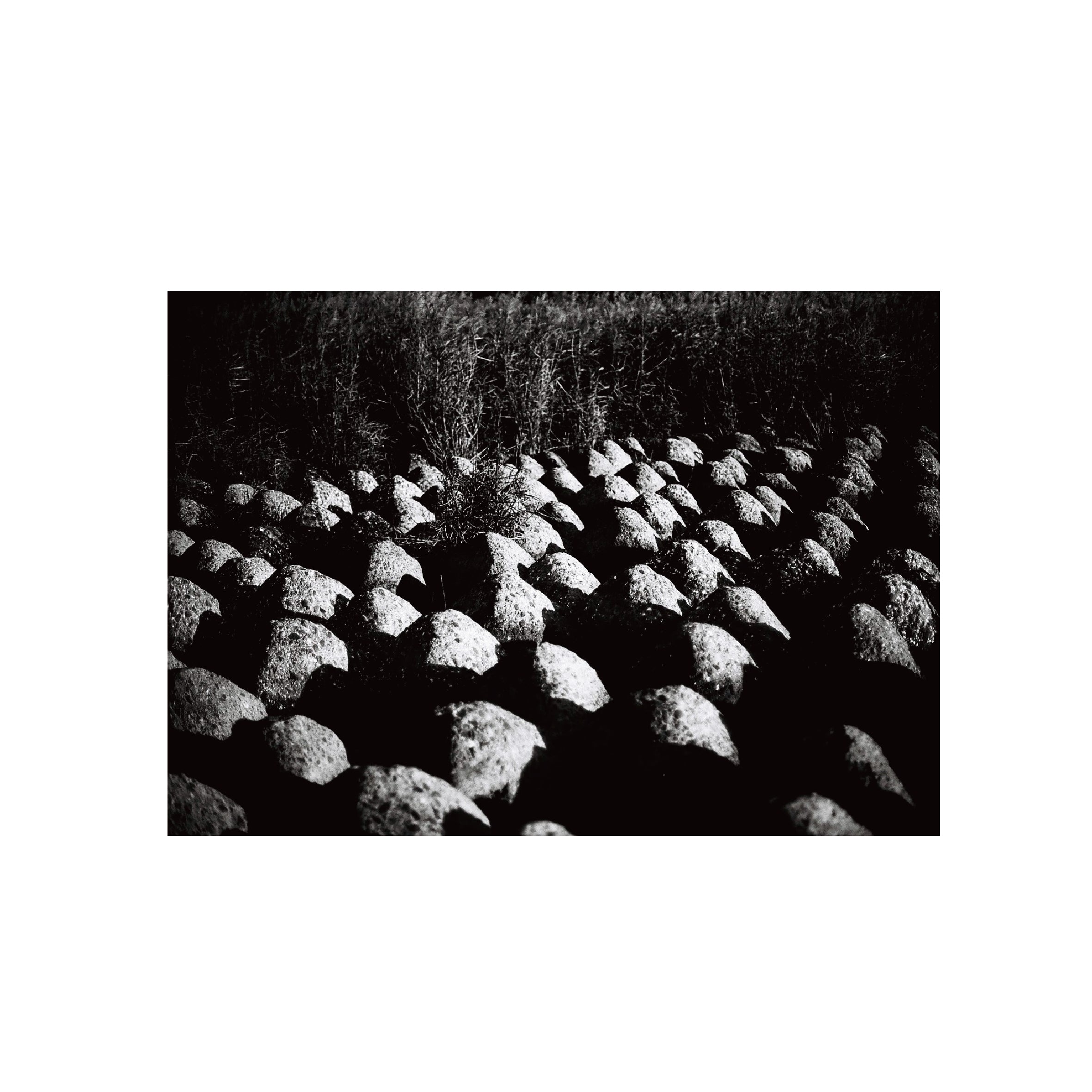 Eastman 2366 Blue-sensitive B&W