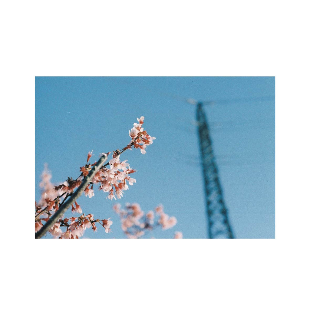 Escura Showa 400