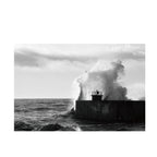 Fomapan 100