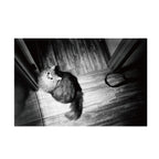 Fomapan 100