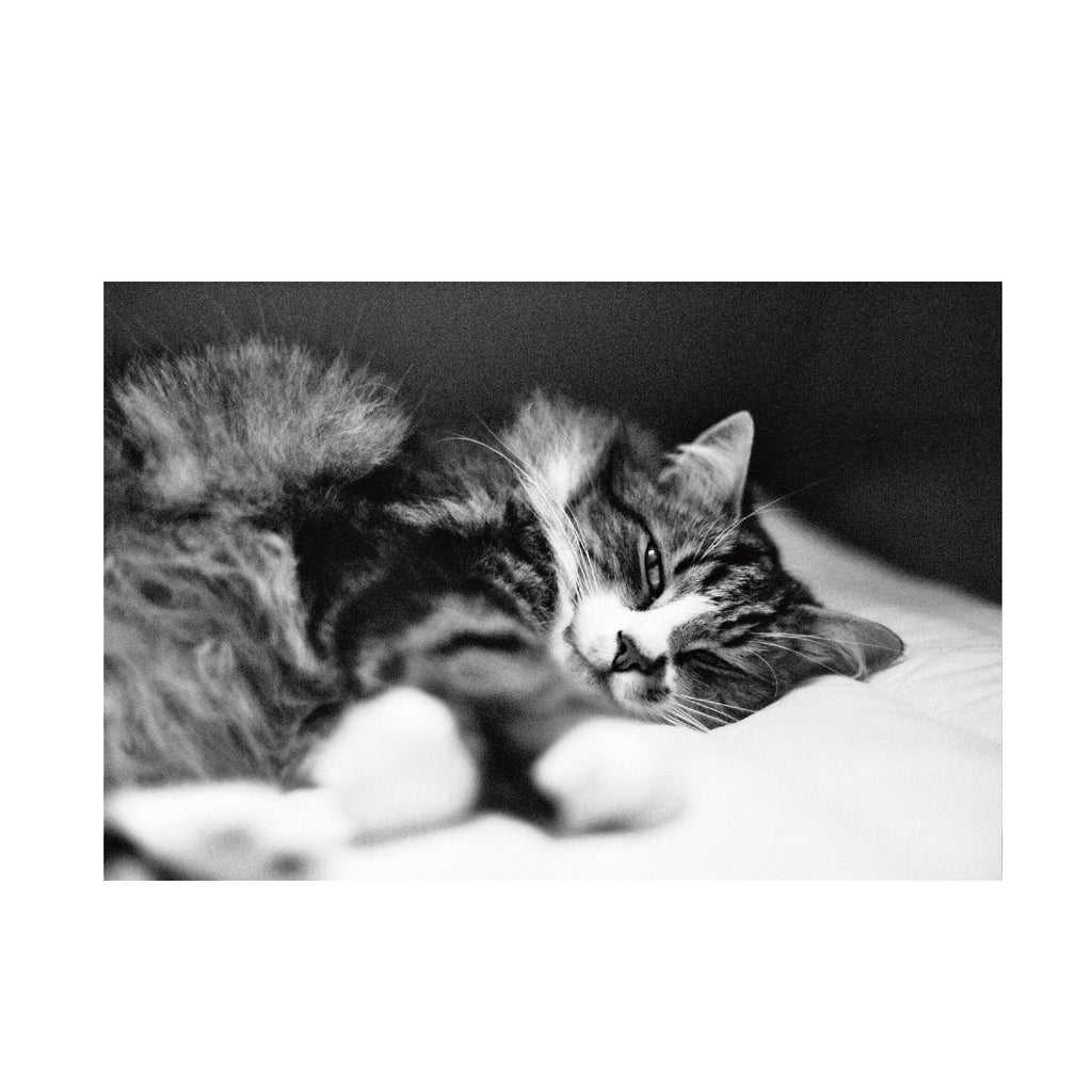 Fomapan 200