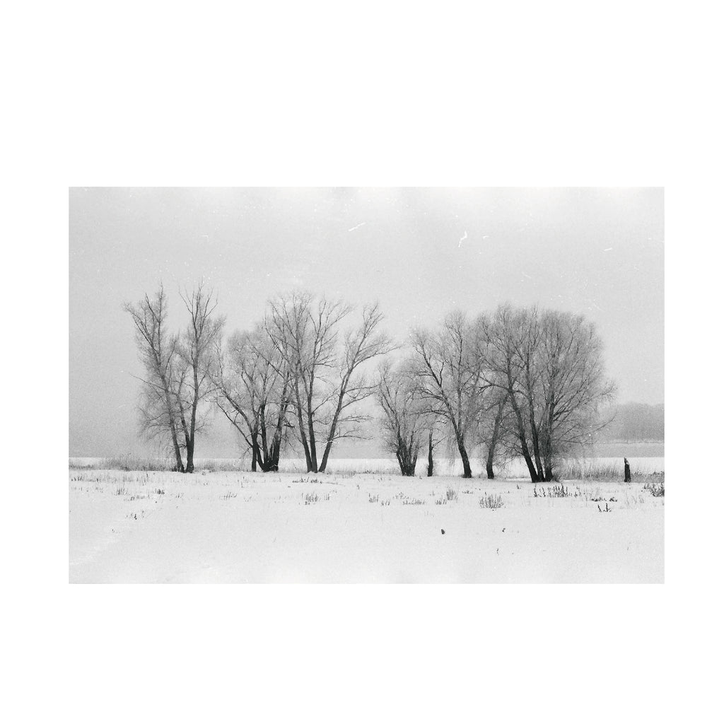 Fomapan 200