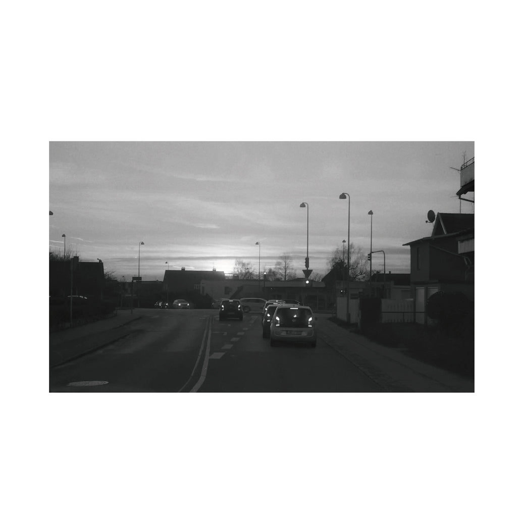 Fomapan 400