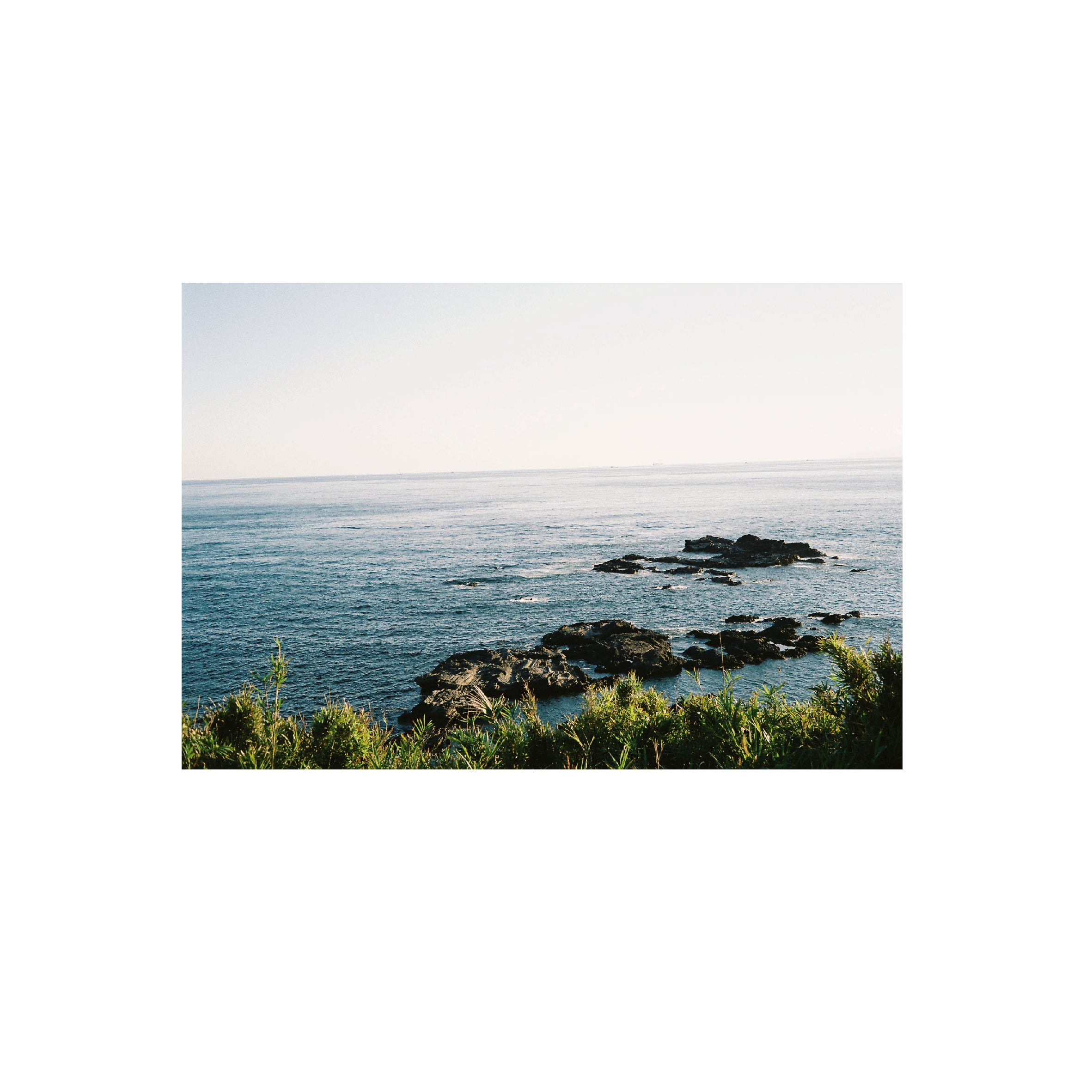 Fuji Fujicolor 100
