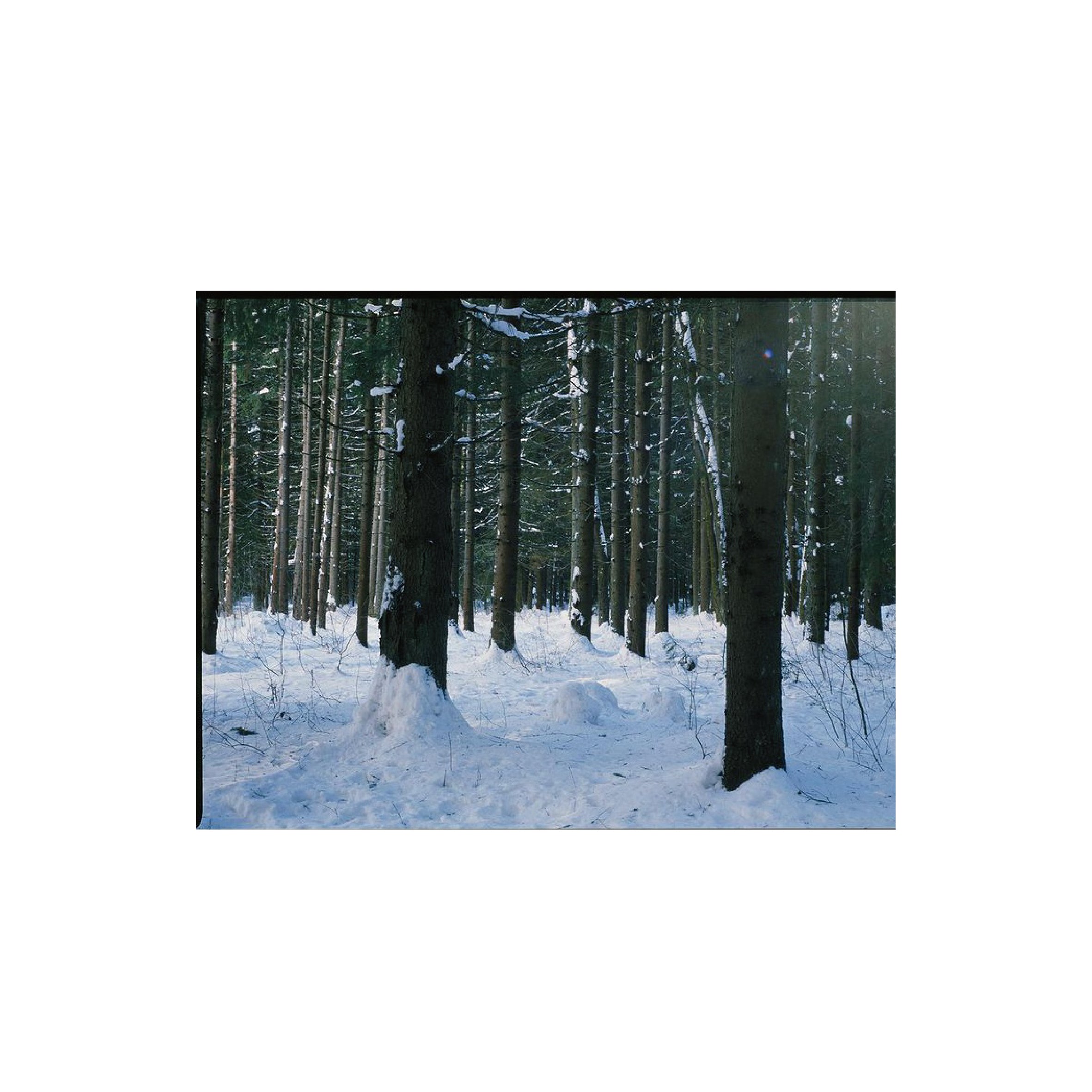 Fujifilm Fujichrome Provia100F