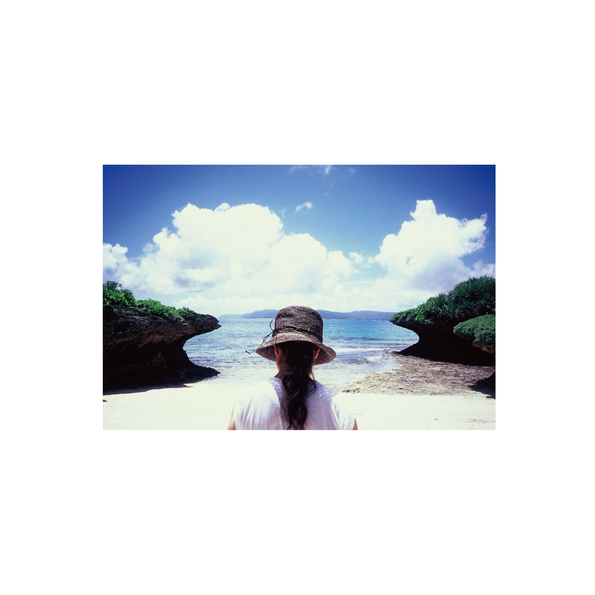 Fujifilm Fujichrome Velvia 50