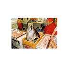 Fujifilm Superia Premium 400