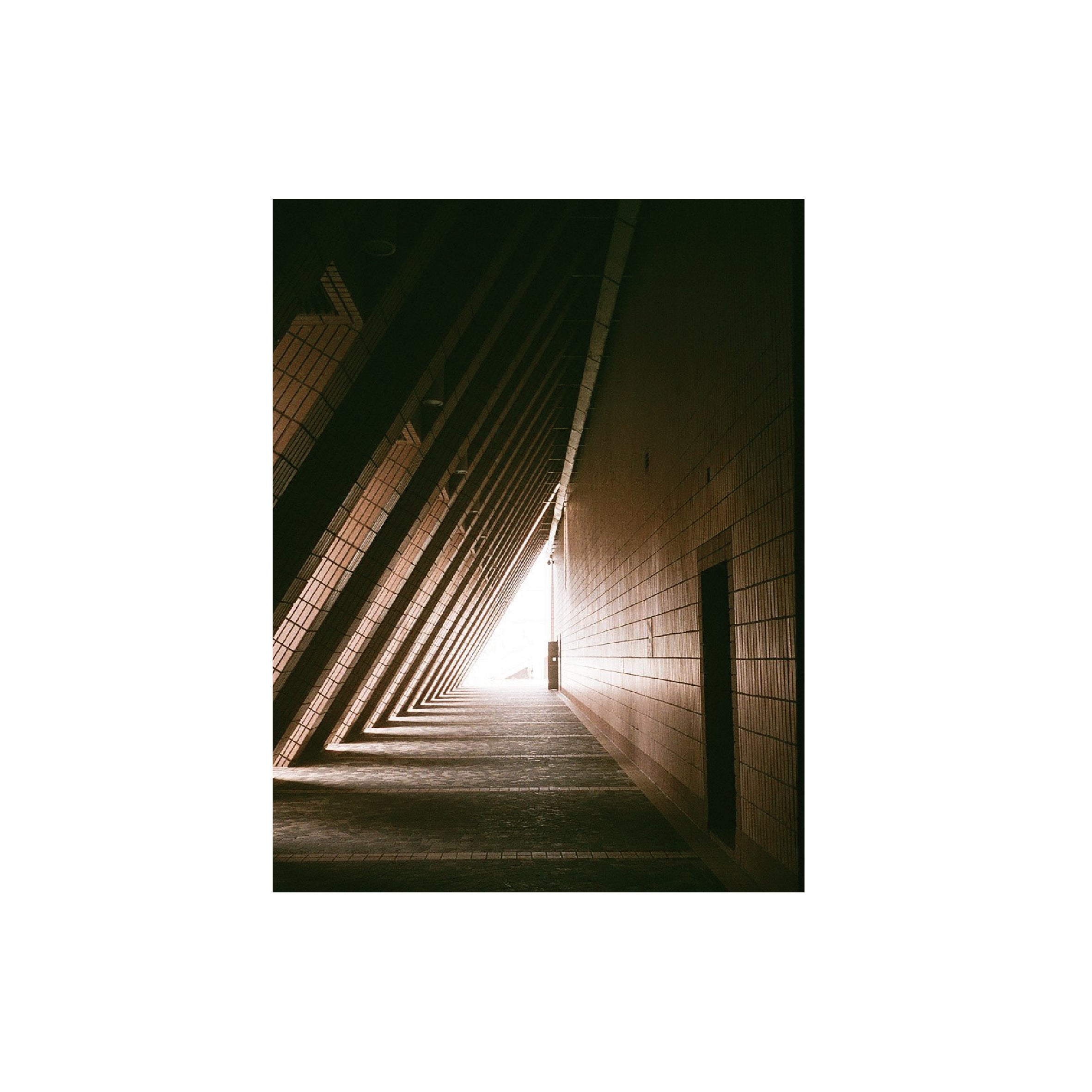 Yashica Golden80s 400