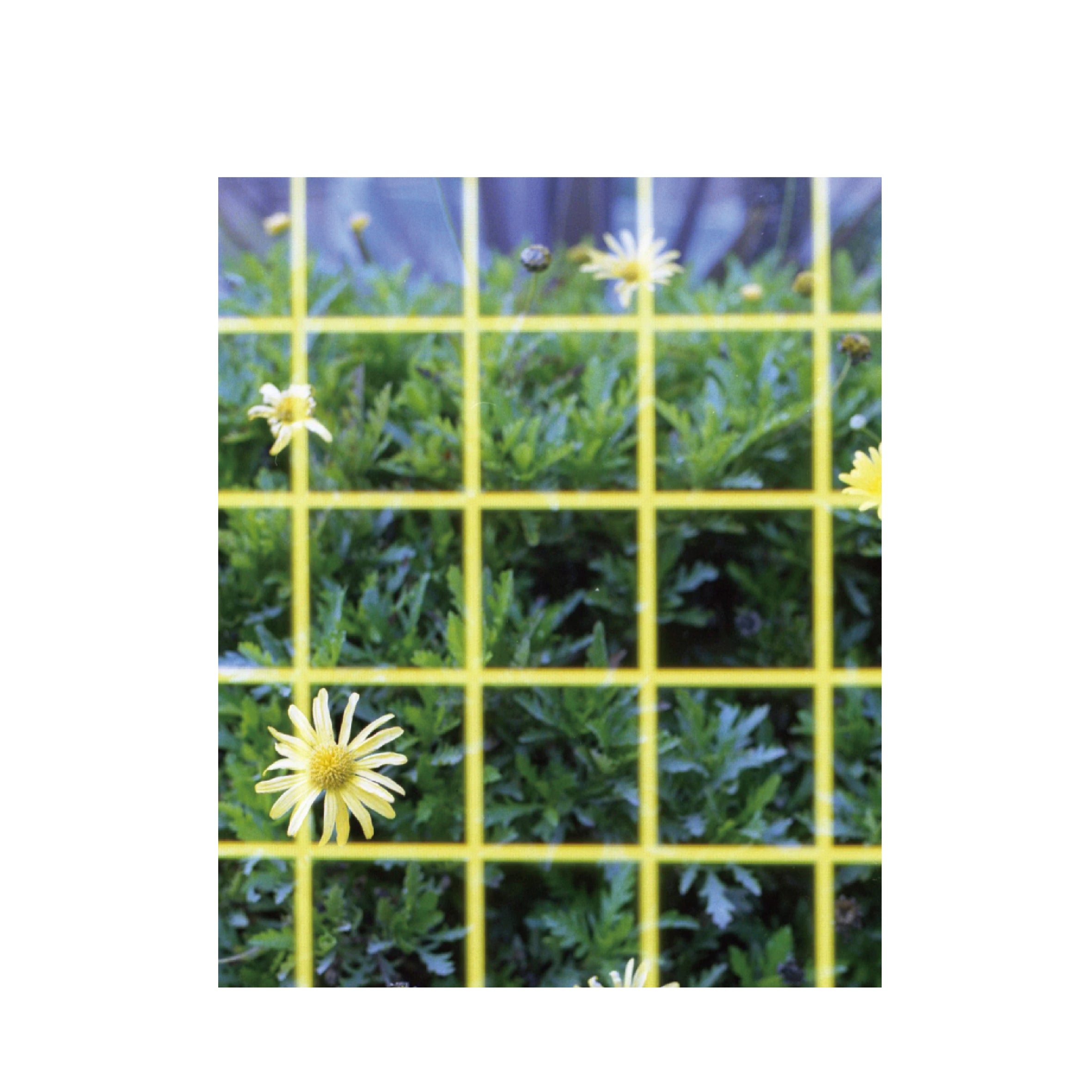 Bkifi Grid 400
