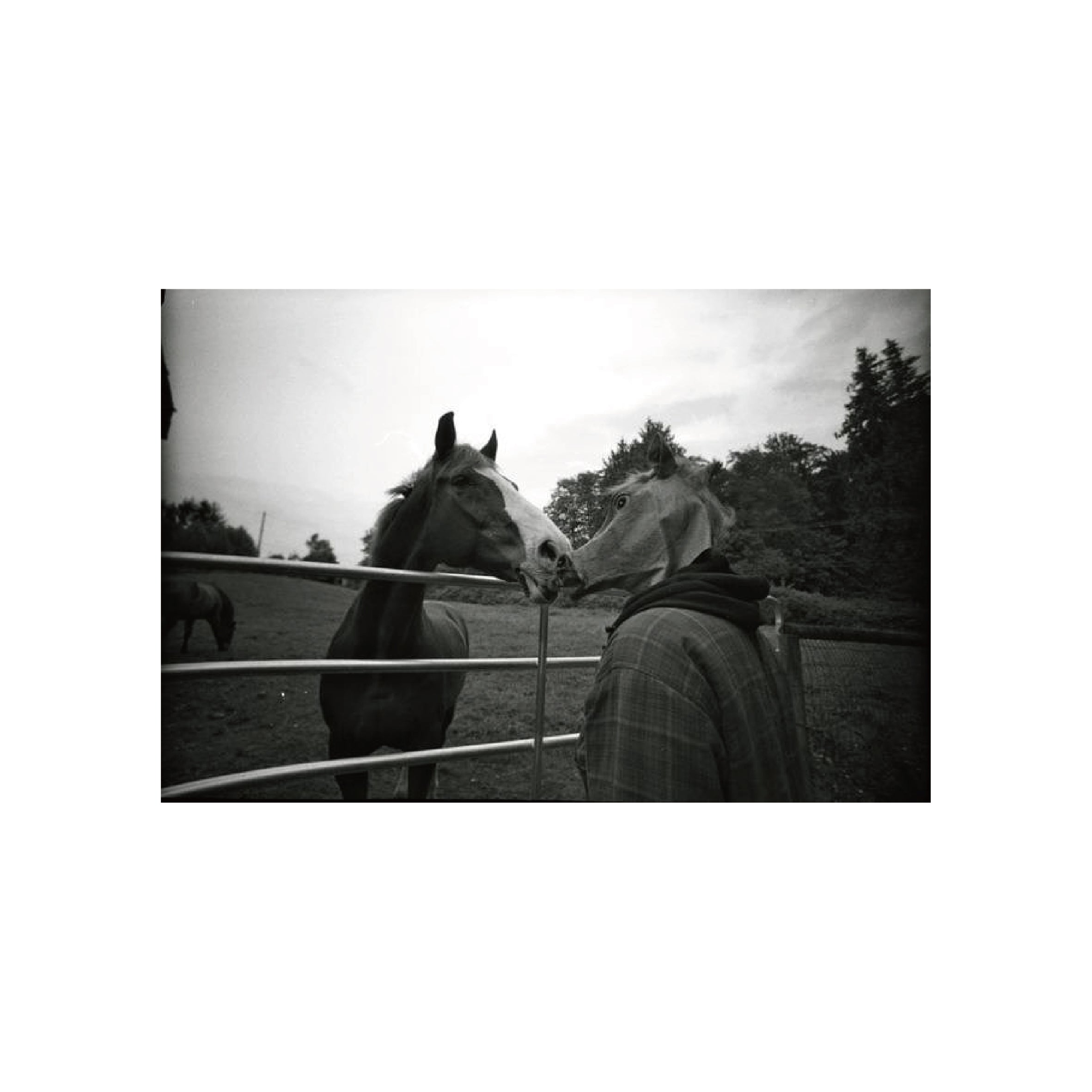 Ilford HP5 Plus 400