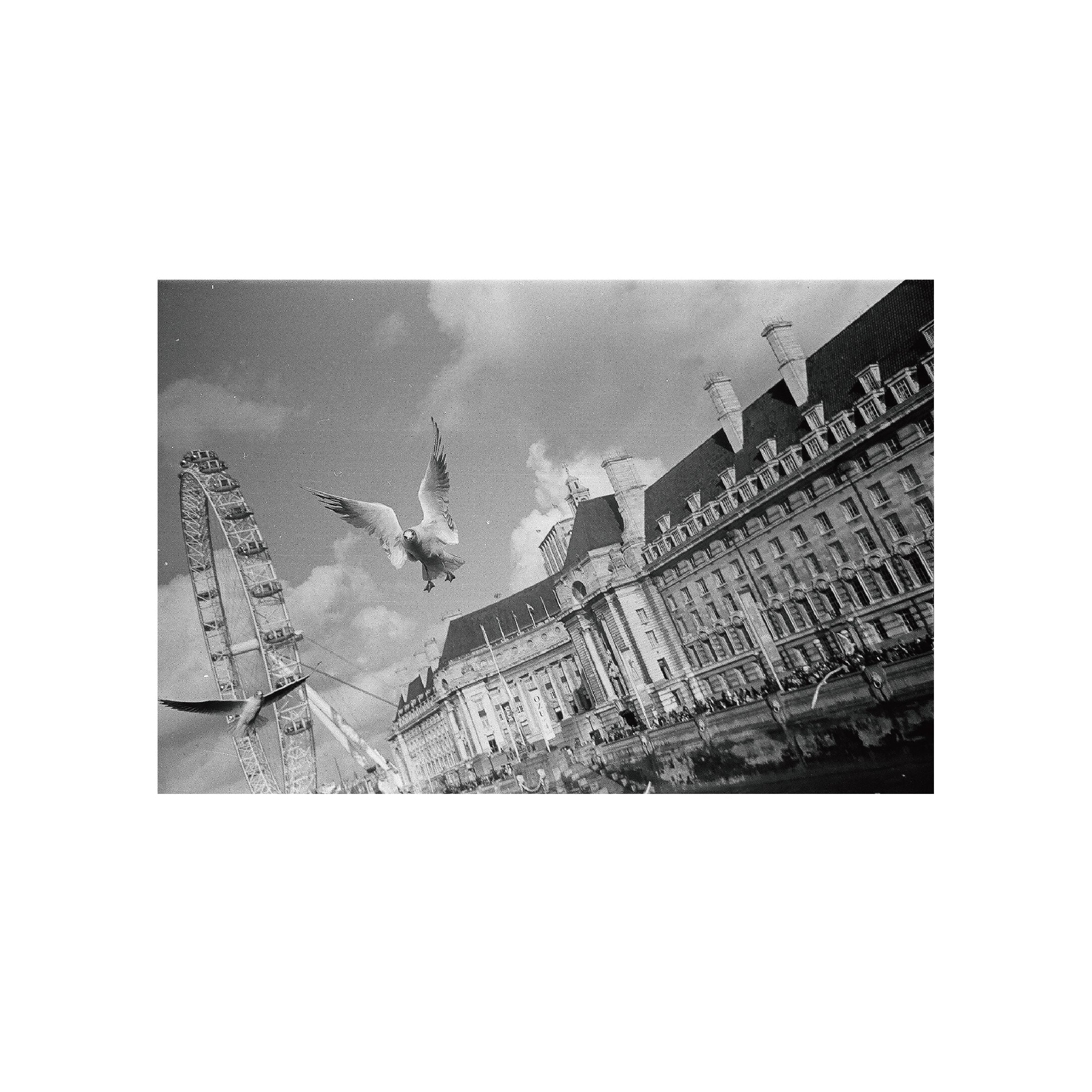 Ilford HP5 Plus 400