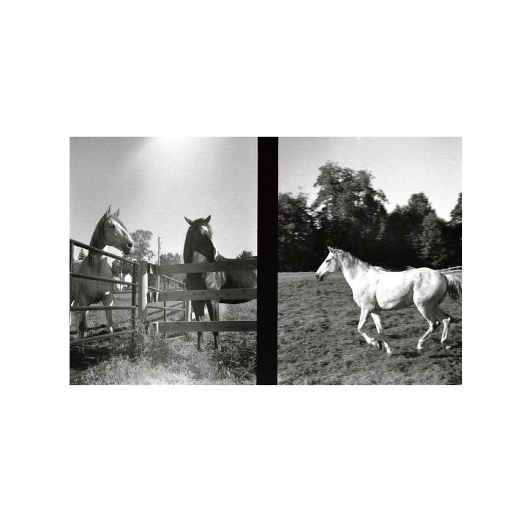 Ilford HP5 Plus 400