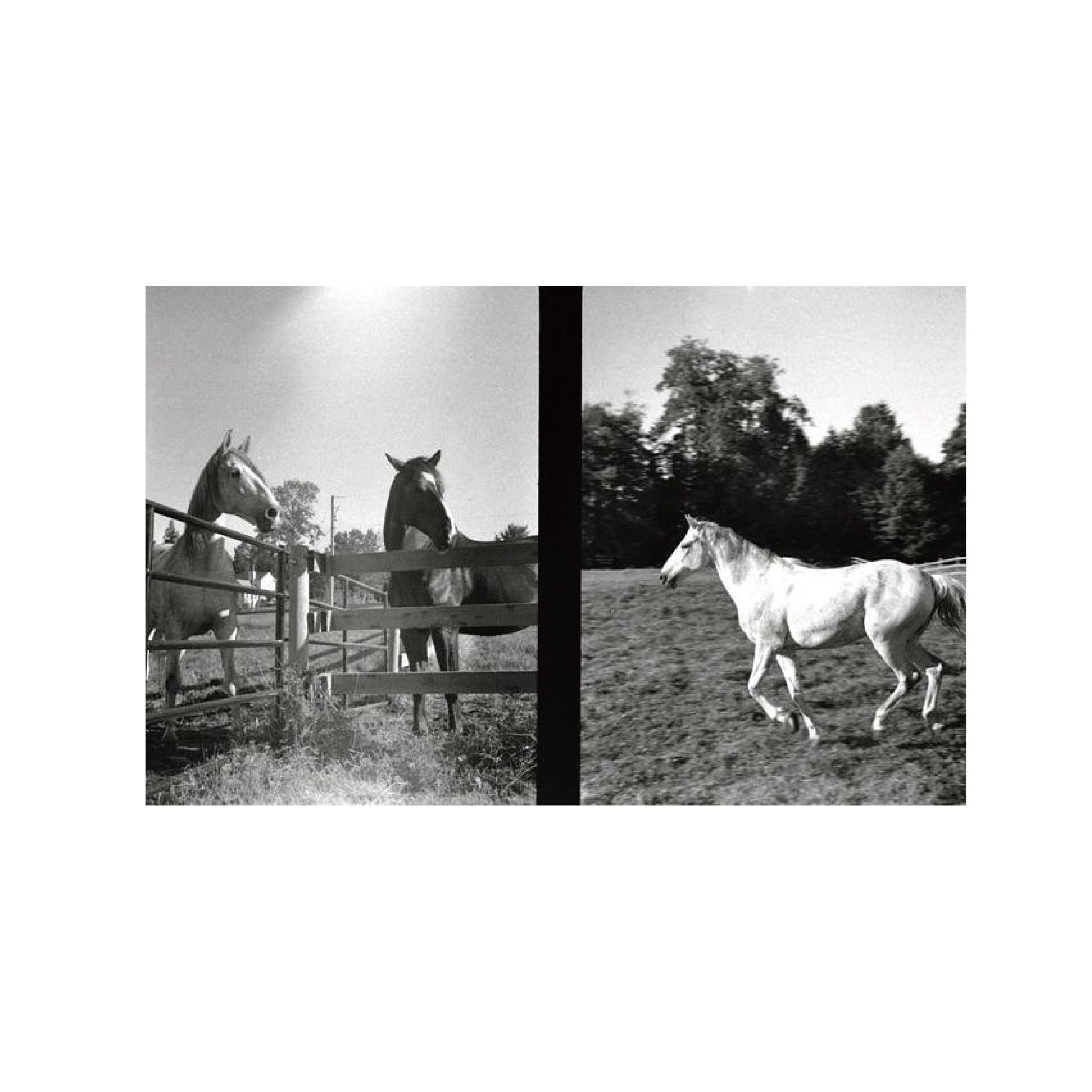 Ilford HP5 Plus 400