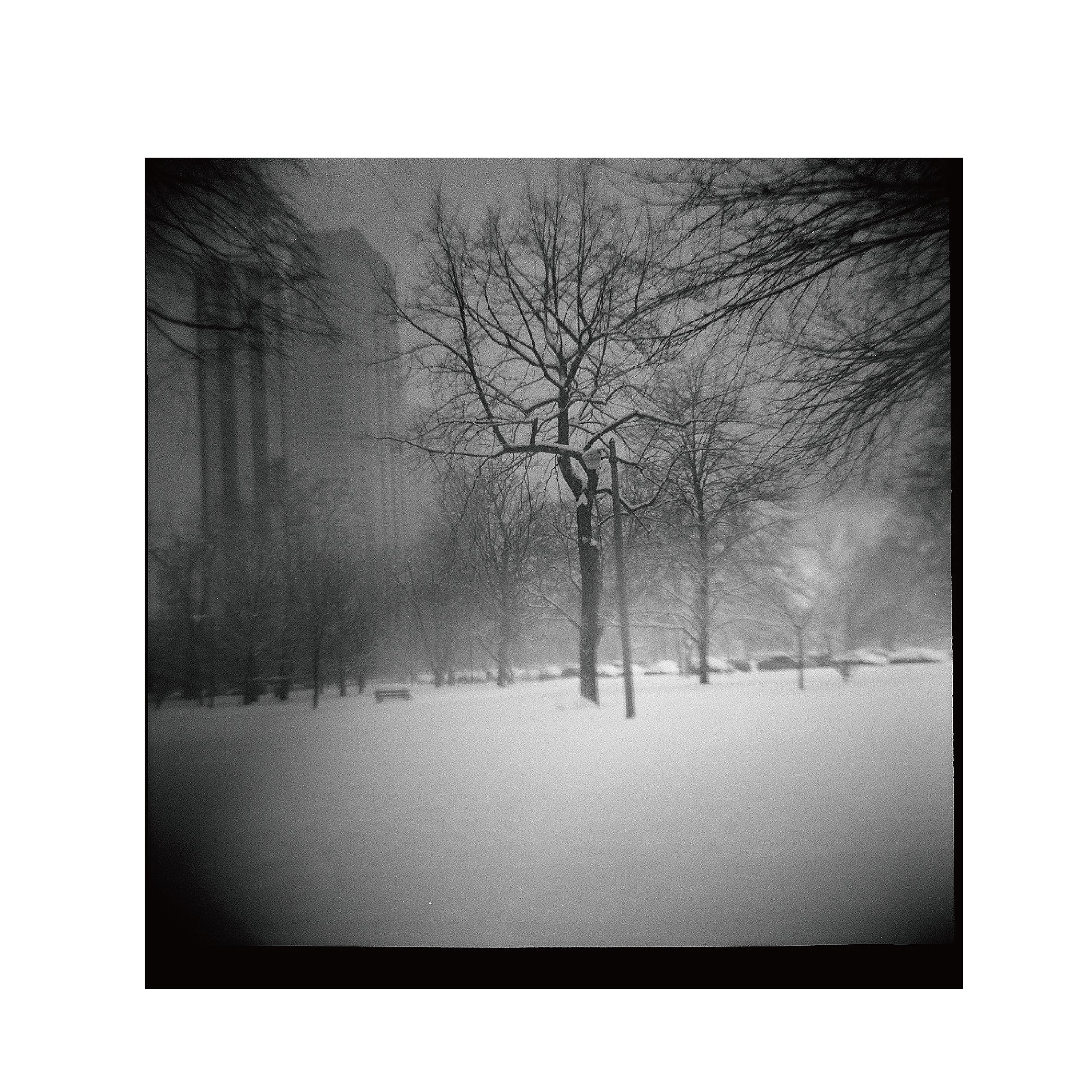 Ilford HP5 Plus 400 B&W 120 Format