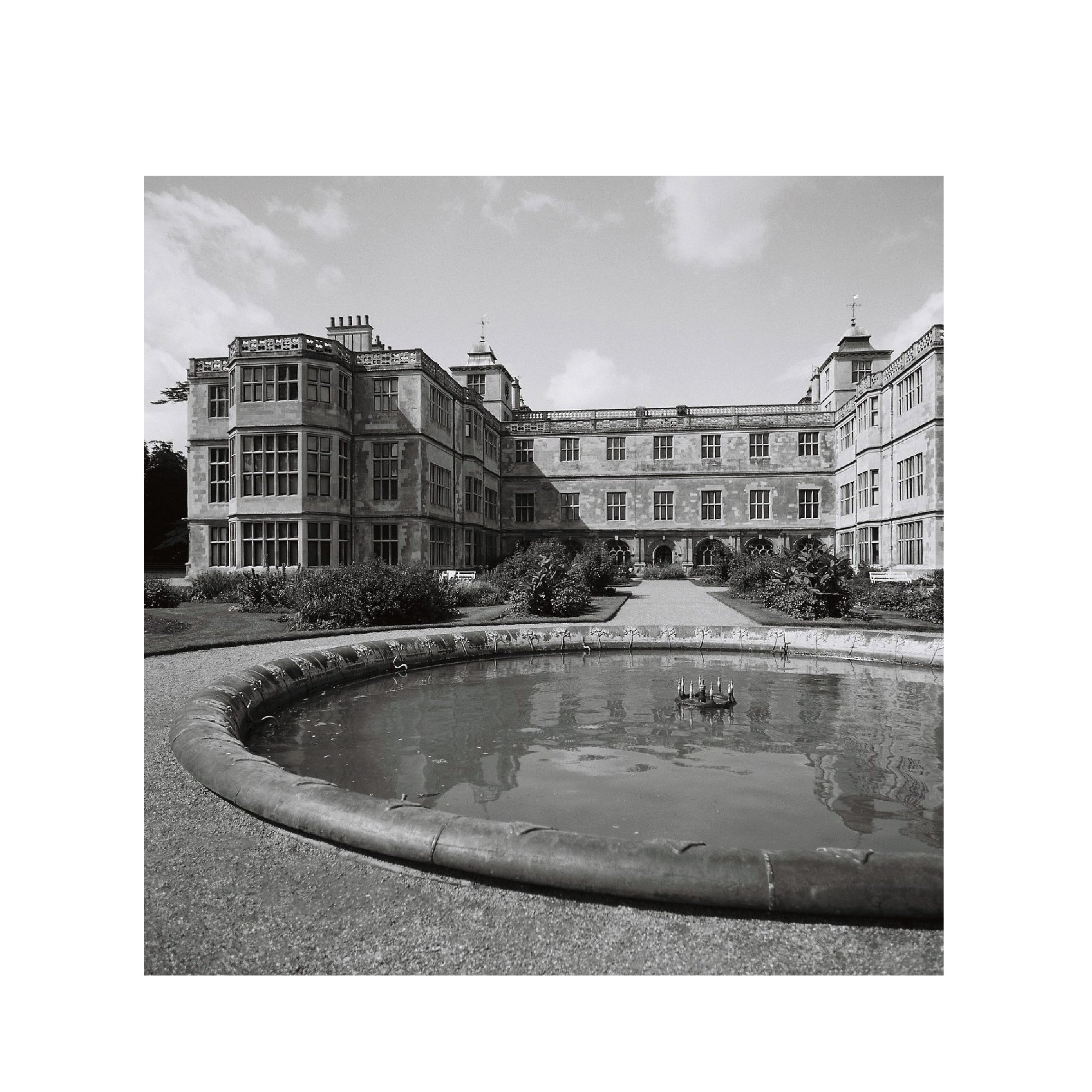 Ilford Ortho Plus 80 B&W 120 Format