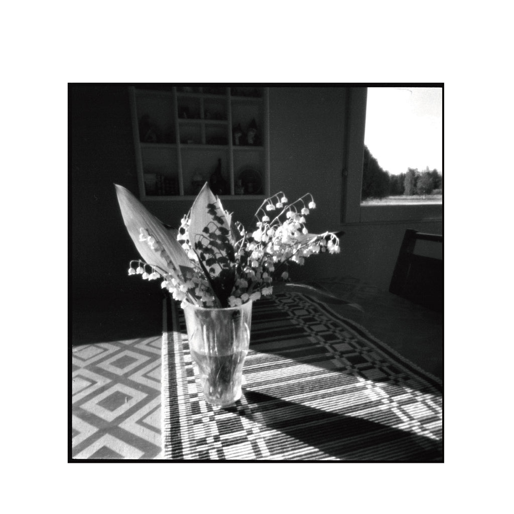 Ilford PANF Plus 50 B&W 120 Format