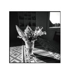 Ilford PANF Plus 50 B&W 120 Format