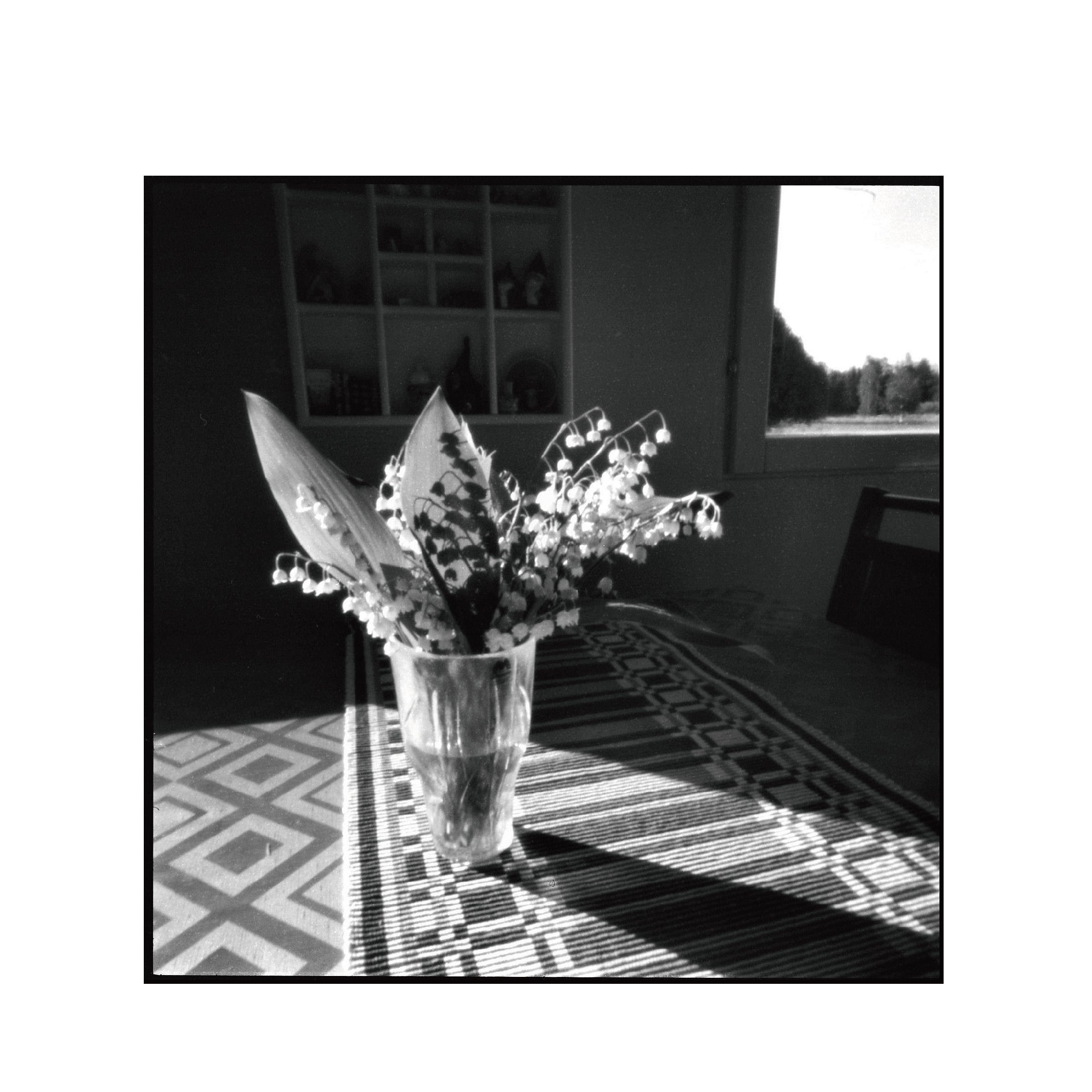 Ilford PANF Plus 50 B&W 120 Format