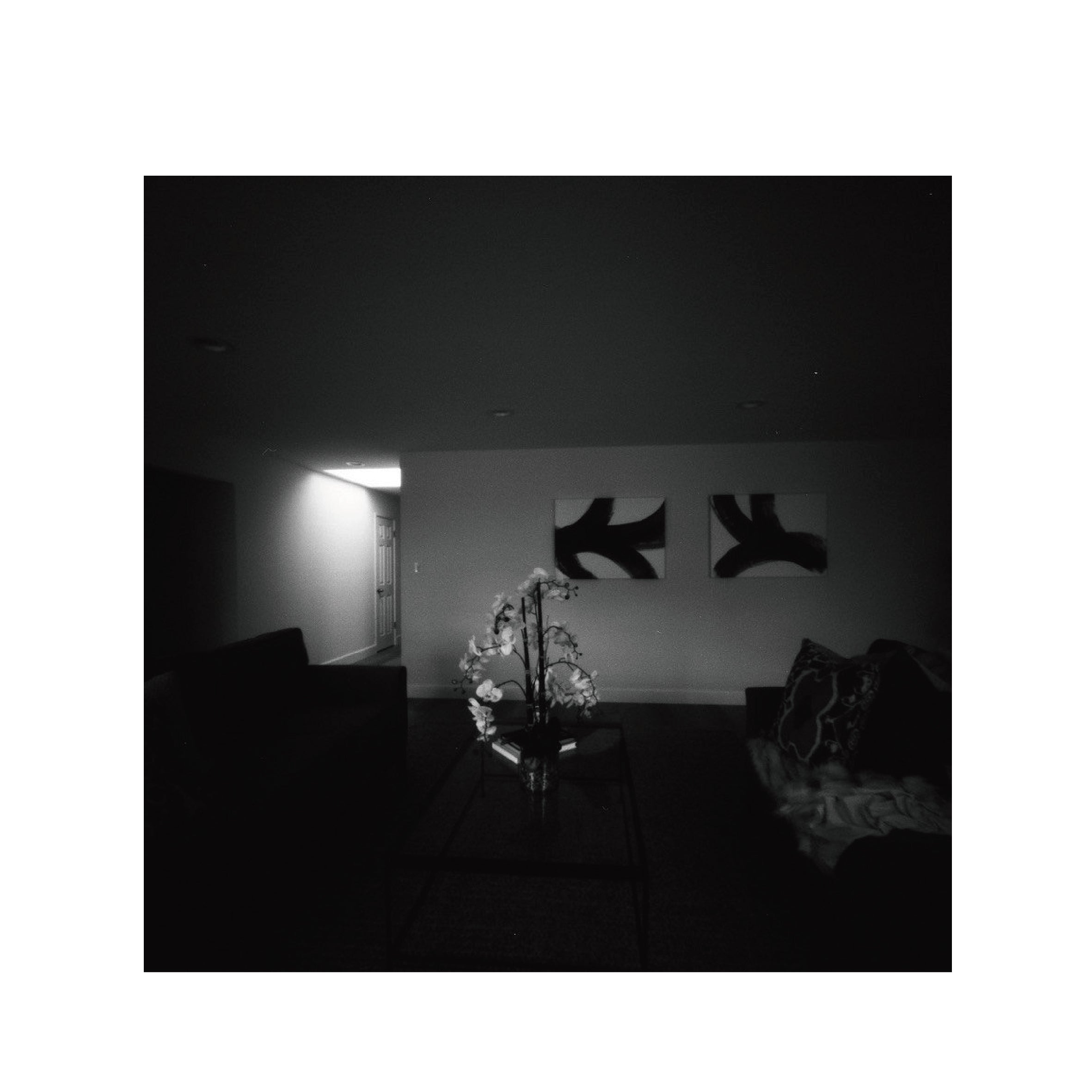 Ilford PANF Plus 50 B&W 120 Format