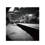Rollei Infrared400S B&W 120 Format