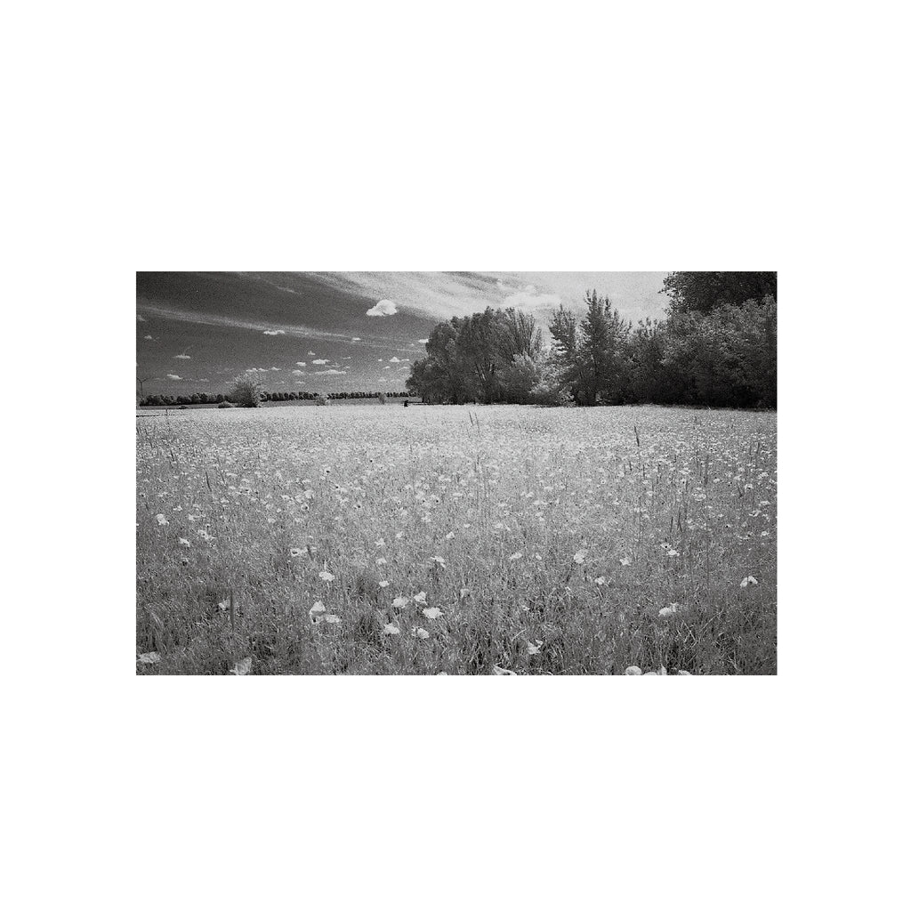 Rollei Infrared 400S