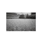 Rollei Infrared 400S