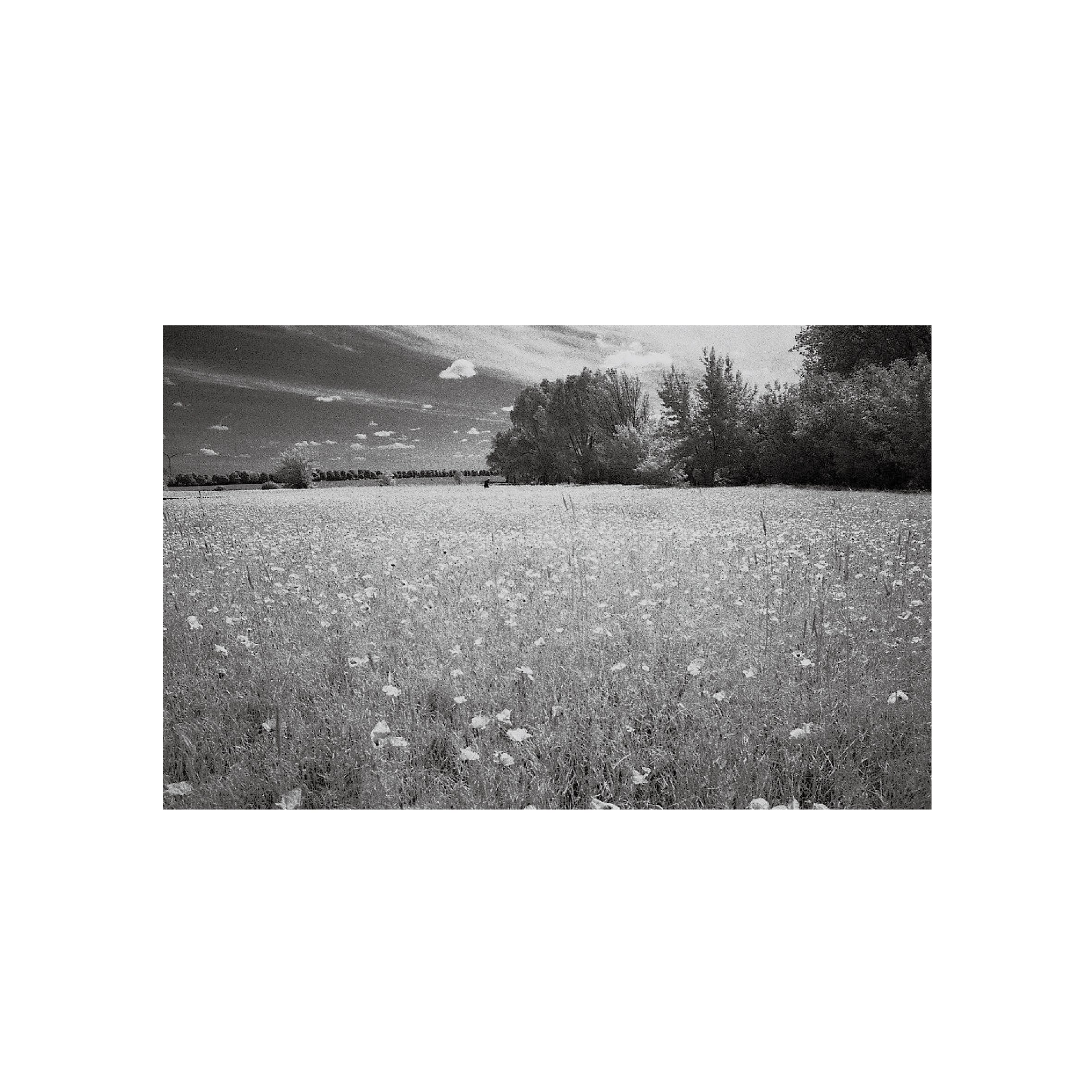 Rollei Infrared 400S