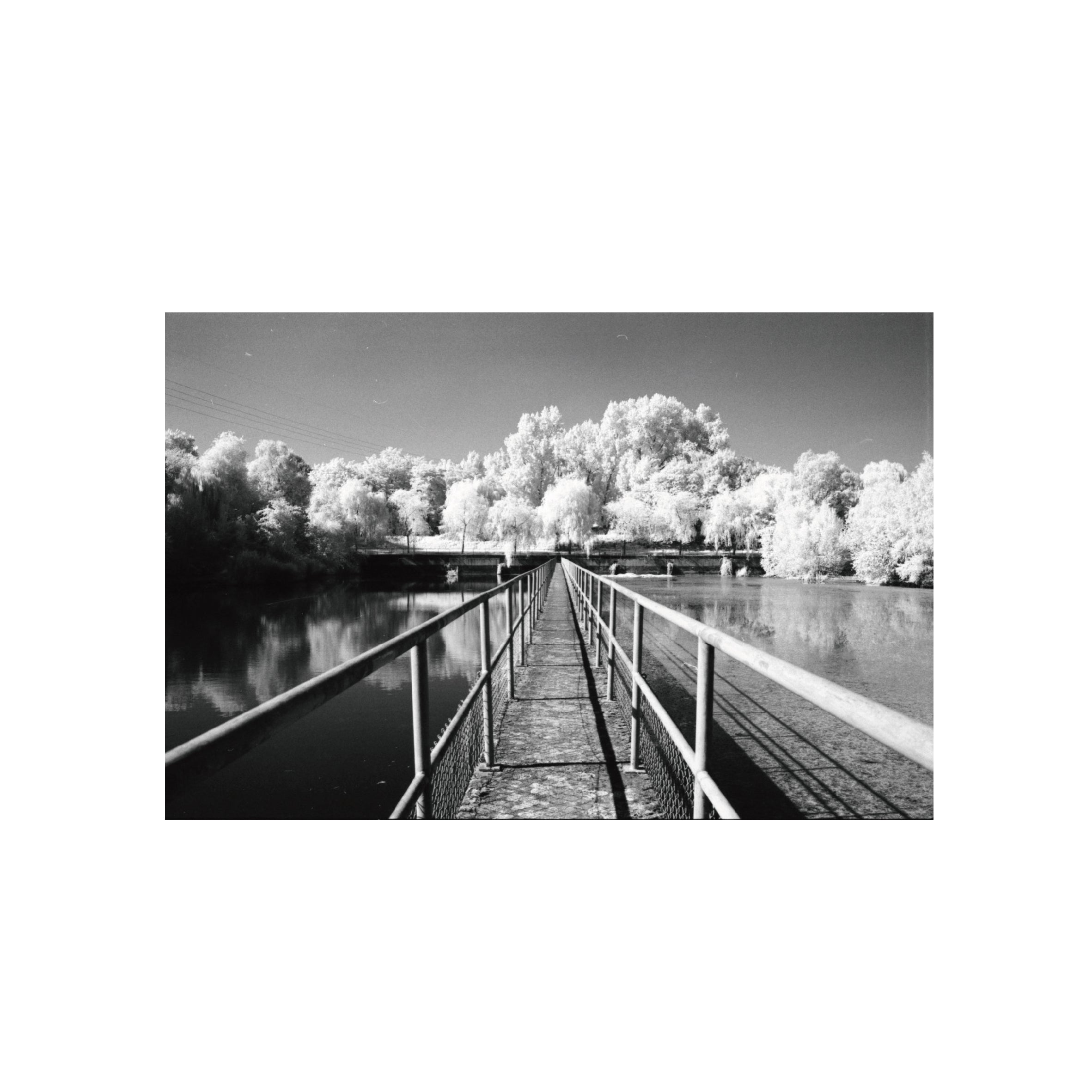 Rollei Infrared 400S