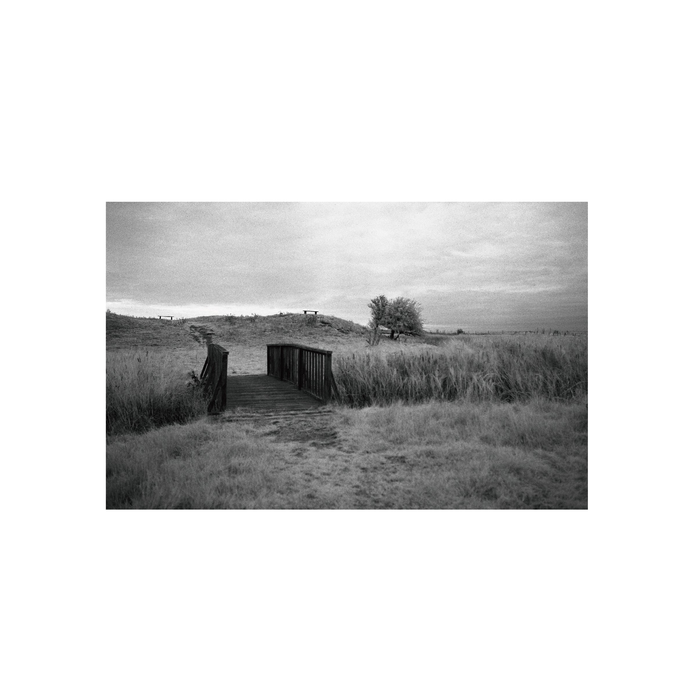 Rollei Infrared 400S