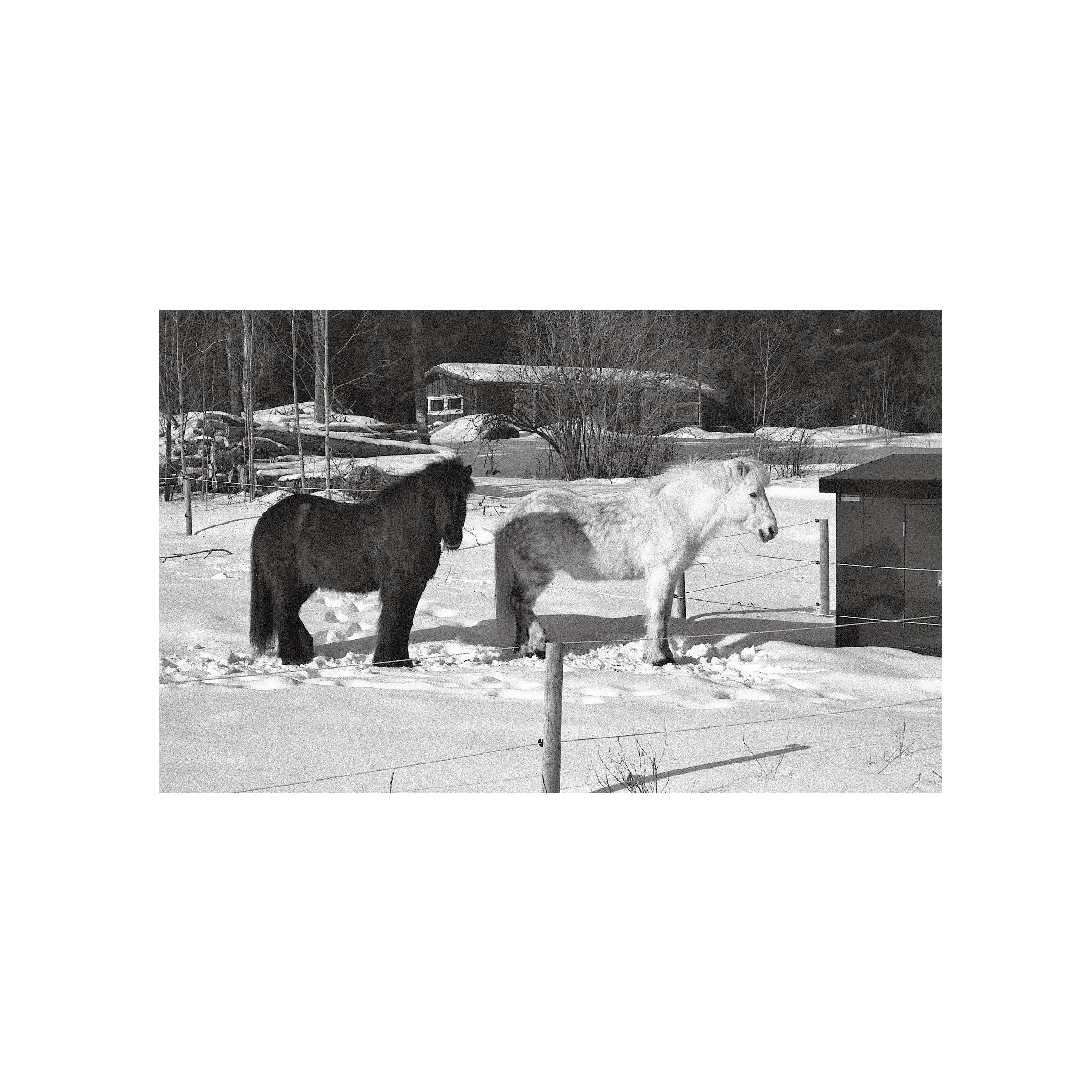 Rollei Infrared 400S