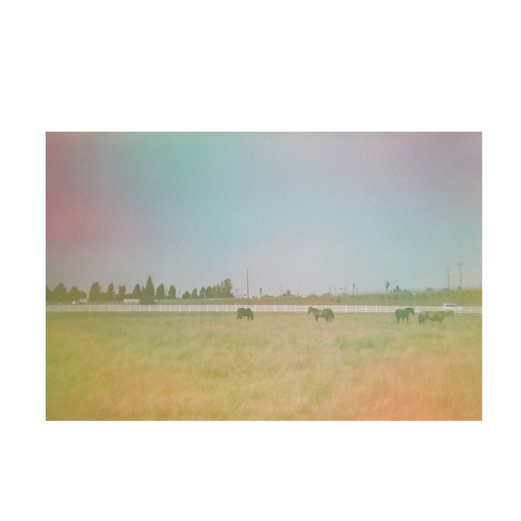 Dubblefilm Jelly 200