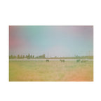 Dubblefilm Jelly 200