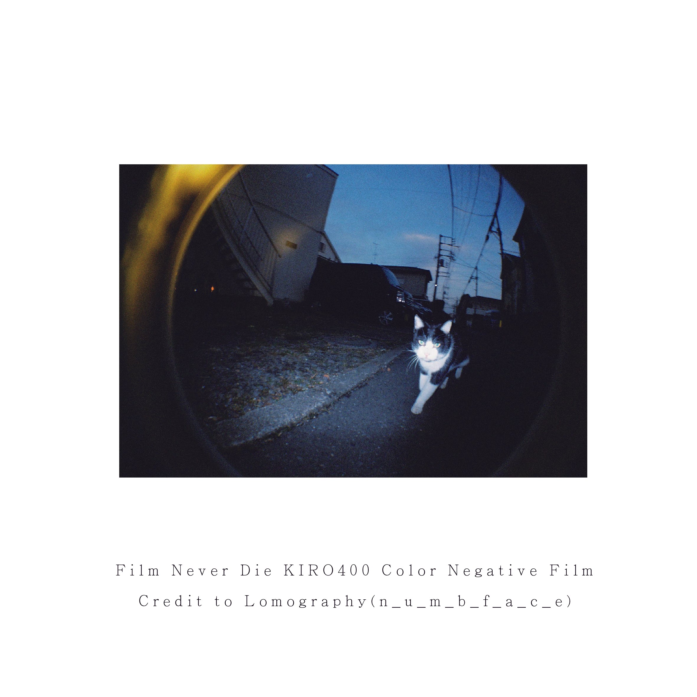 Film Never Die KIRO 400