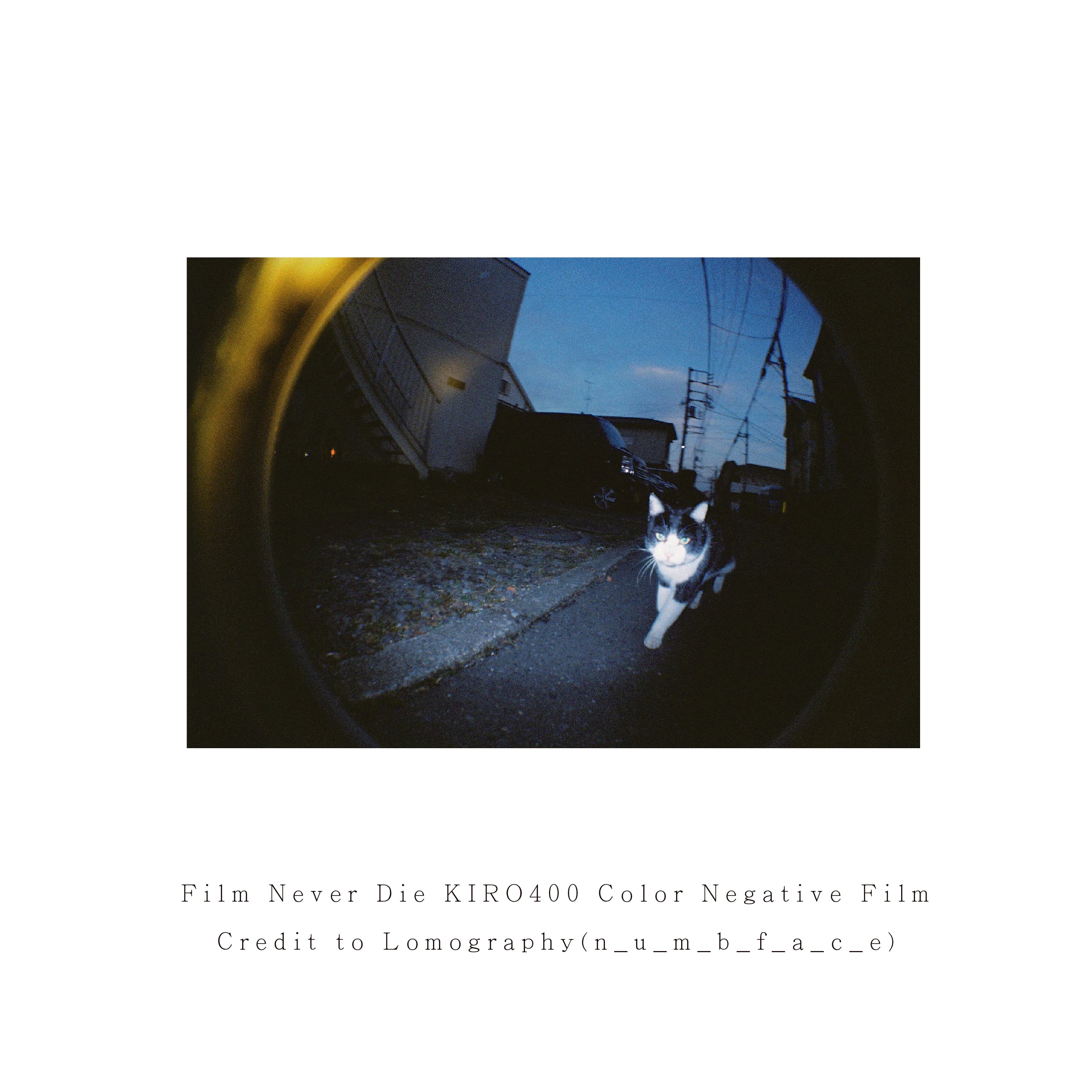 Film Never Die KIRO 400