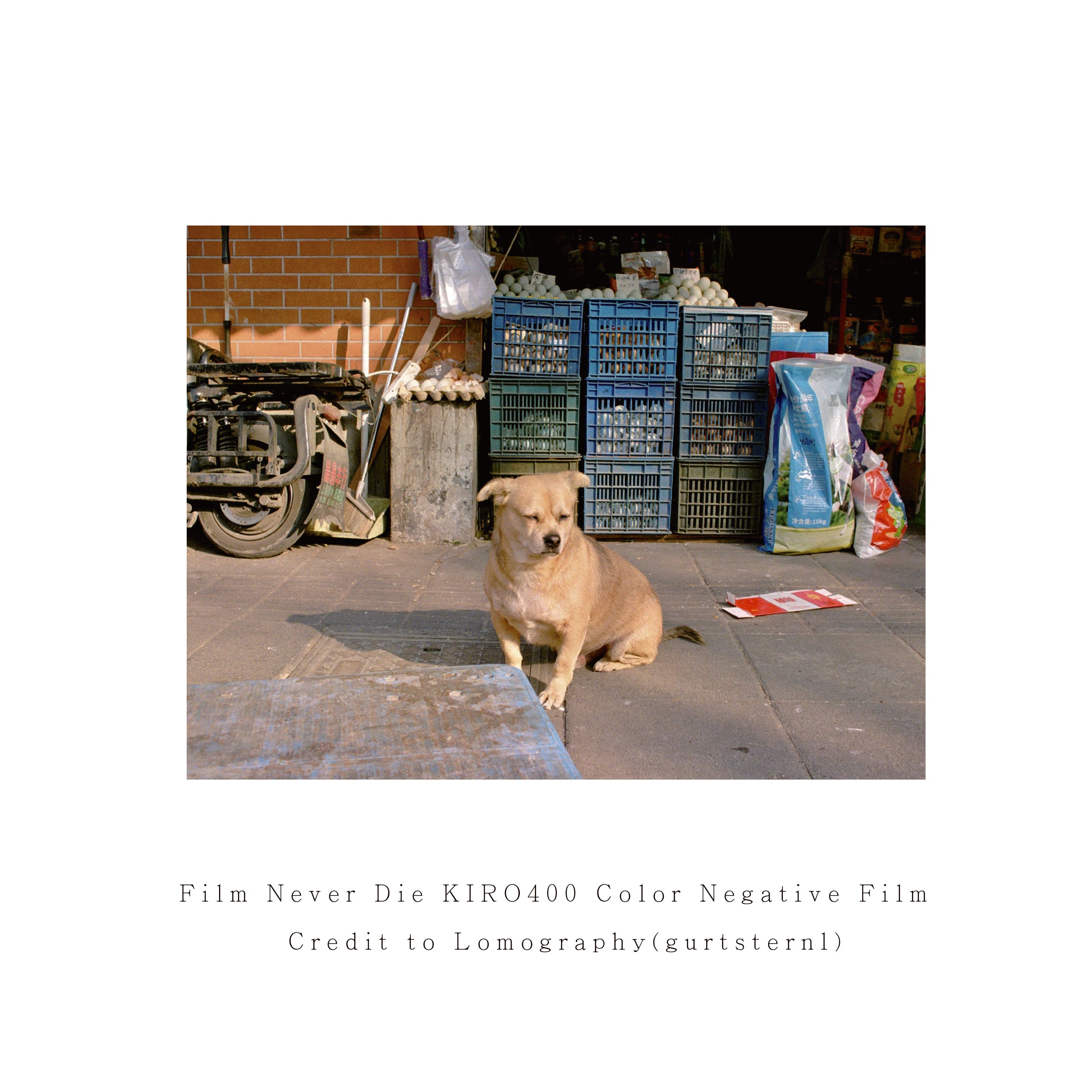 Film Never Die KIRO 400
