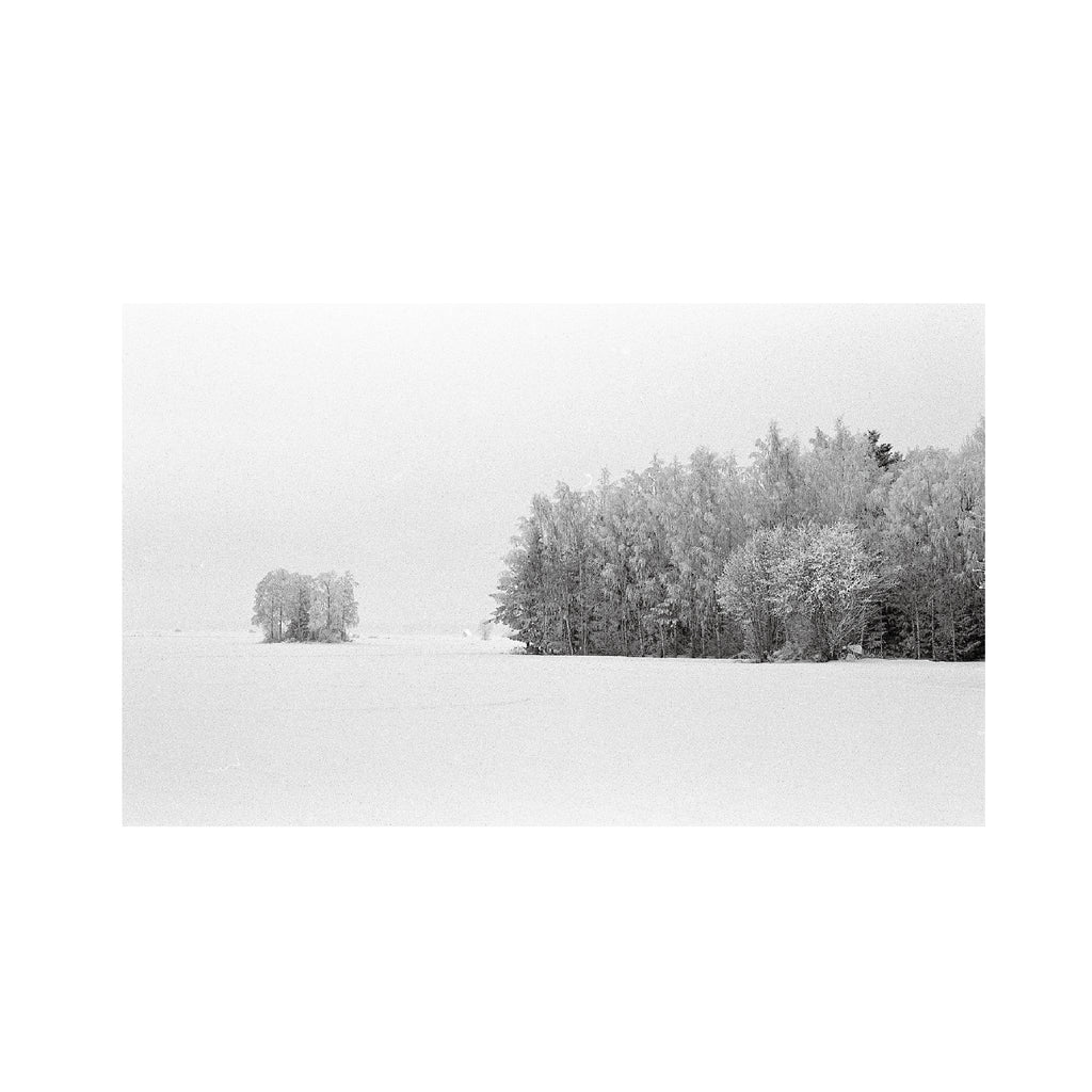 Kodak 400 TMAX