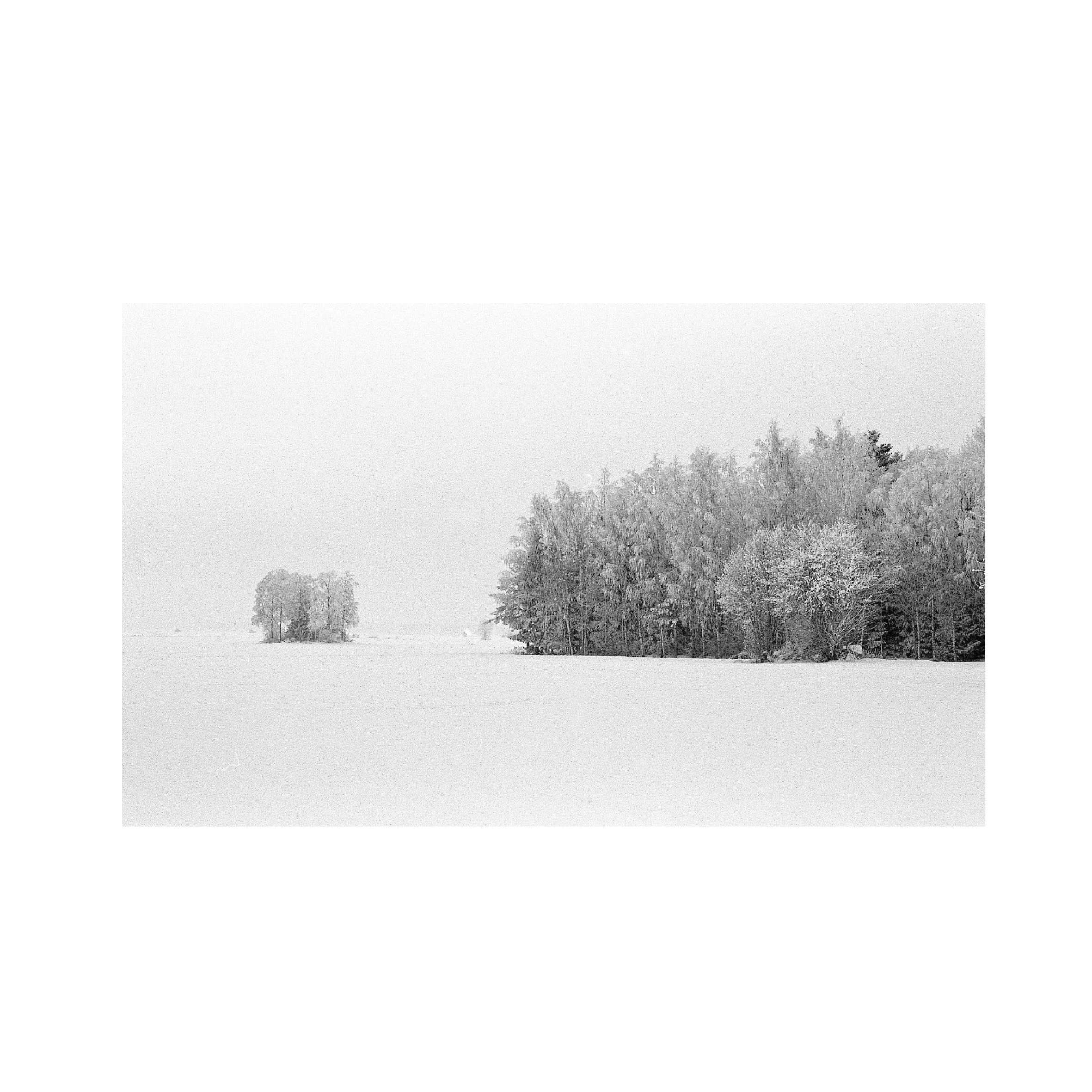 Kodak 400 TMAX