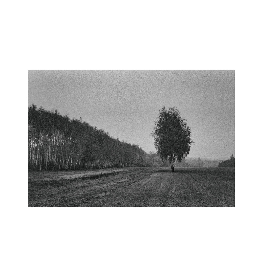 Kodak 400TX