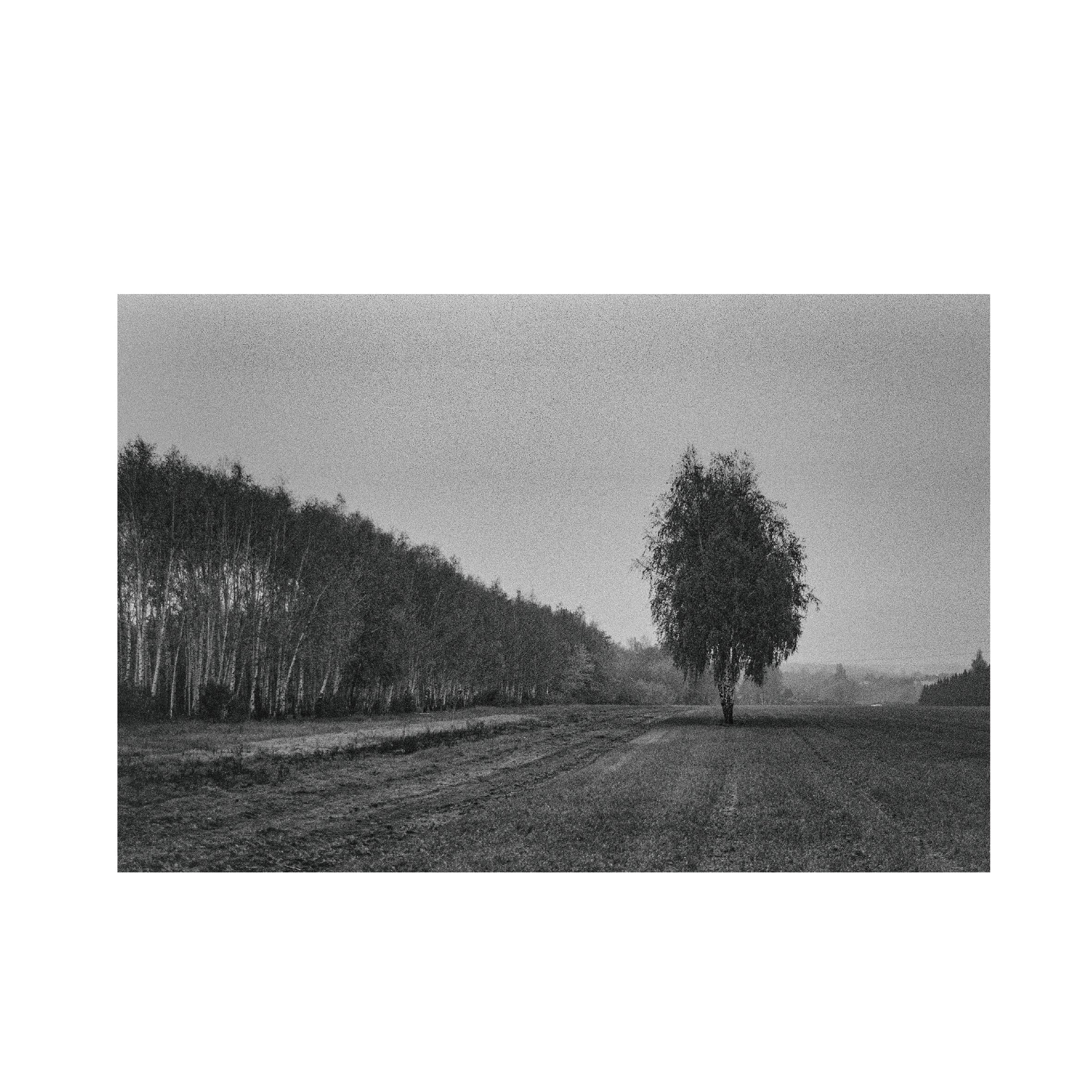 Kodak 400TX